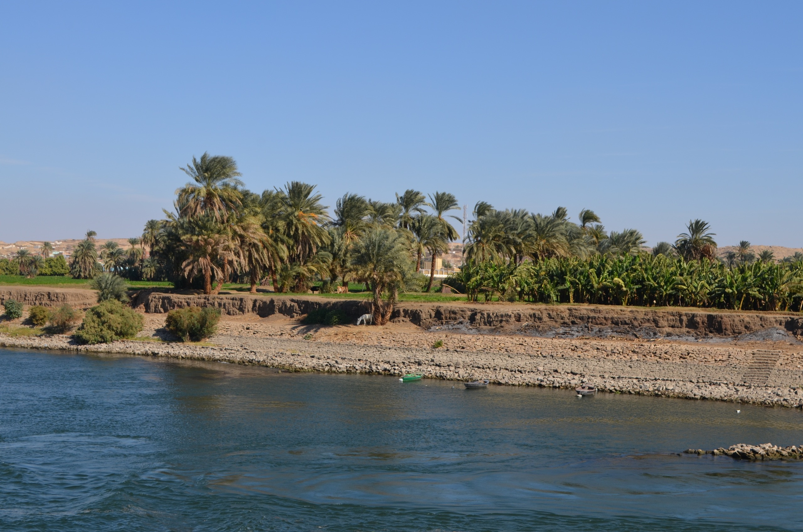Croisière sur le Nil. Milok et Kirok sont des gens positifs et réels. Nous serons ravis de v