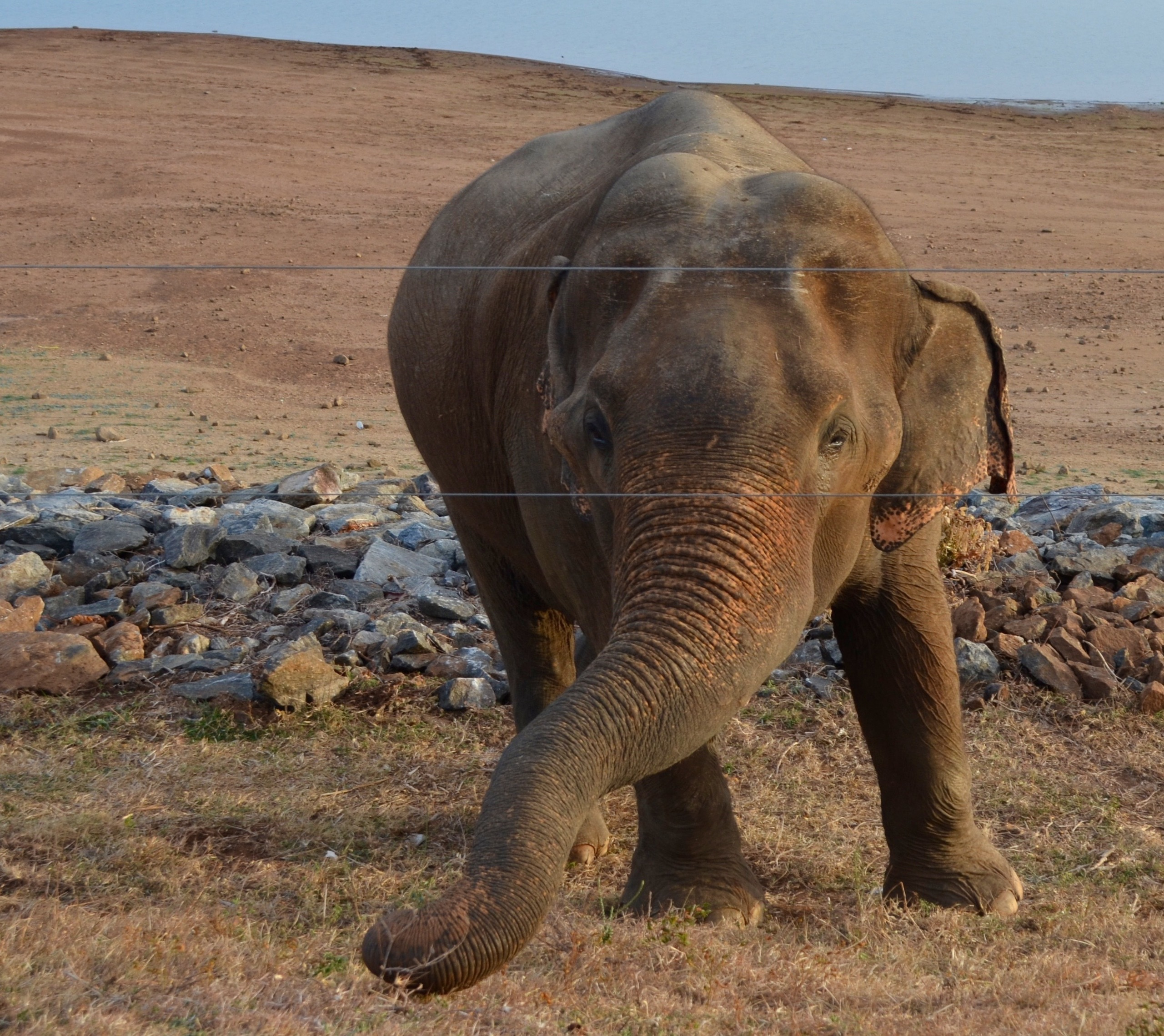 Sri Lanka — Maldives. Milok et Kirok sont des gens positifs et réels. Nous serons ravis de v