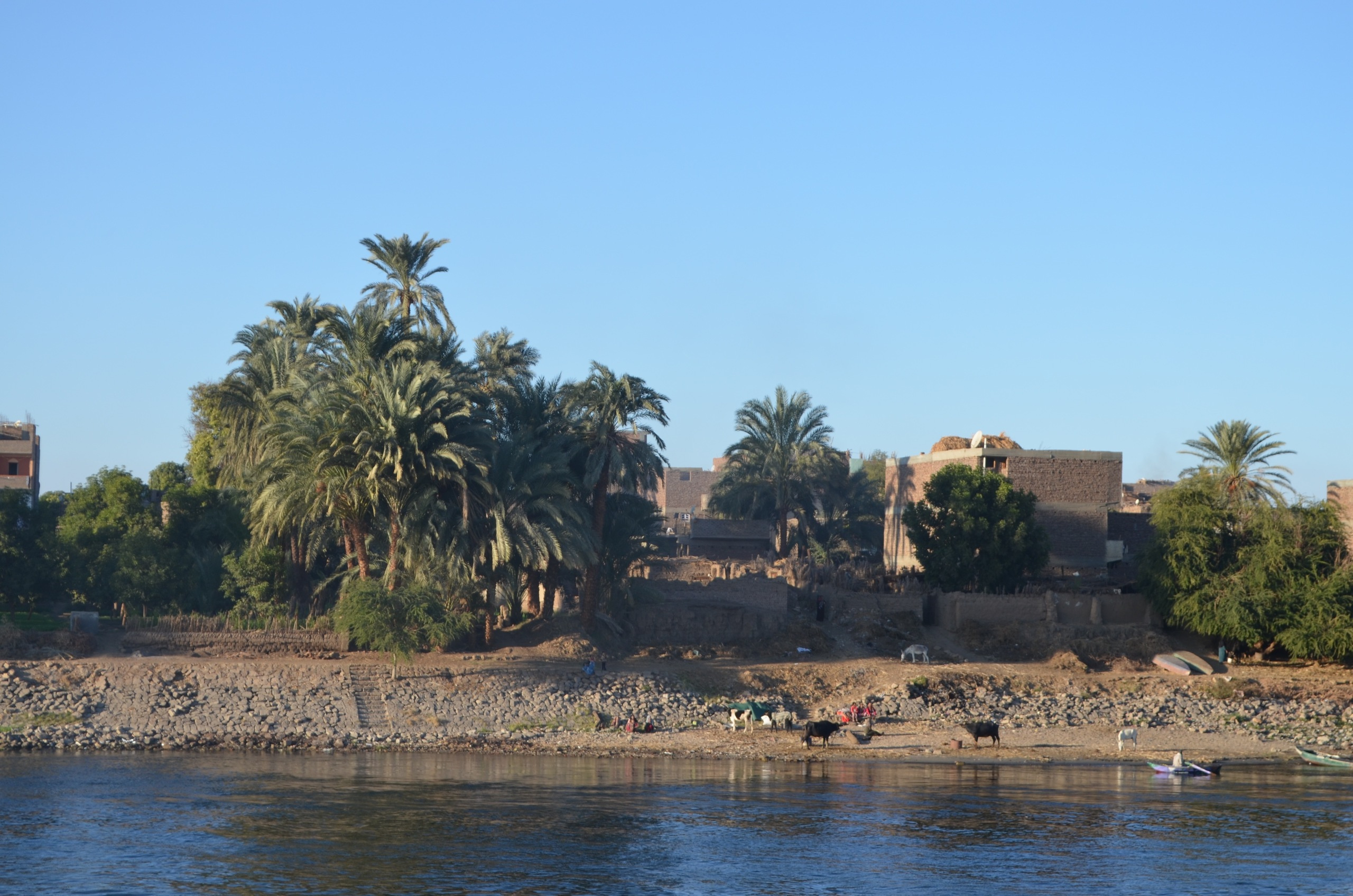 Croisière sur le Nil. Milok et Kirok sont des gens positifs et réels. Nous serons ravis de v