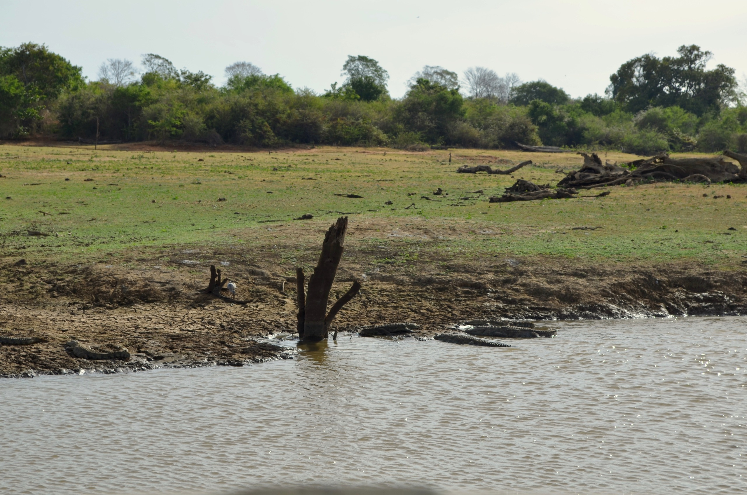 Sri Lanka — Maldives. Milok et Kirok sont des gens positifs et réels. Nous serons ravis de v