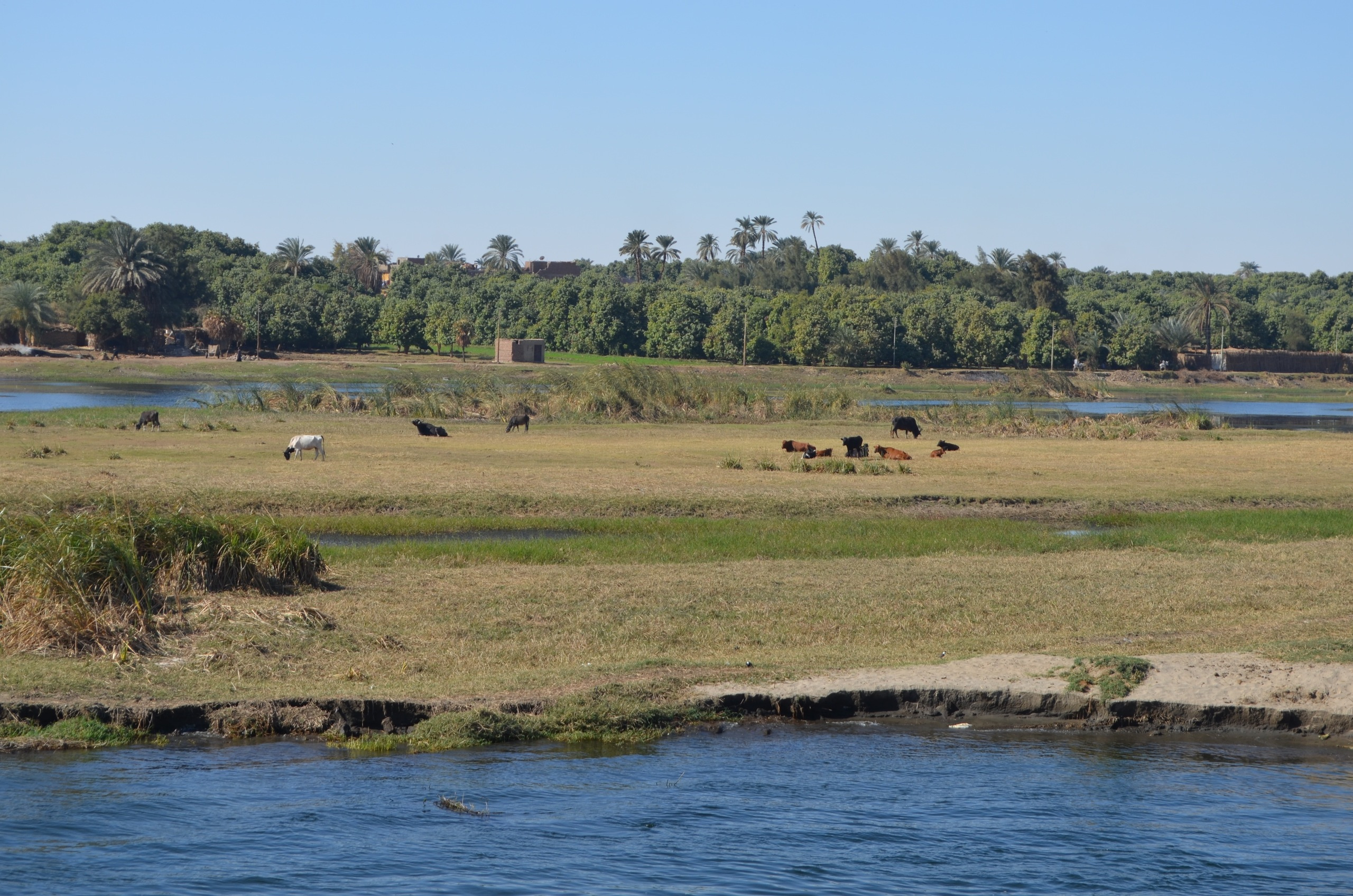 Croisière sur le Nil. Milok et Kirok sont des gens positifs et réels. Nous serons ravis de v
