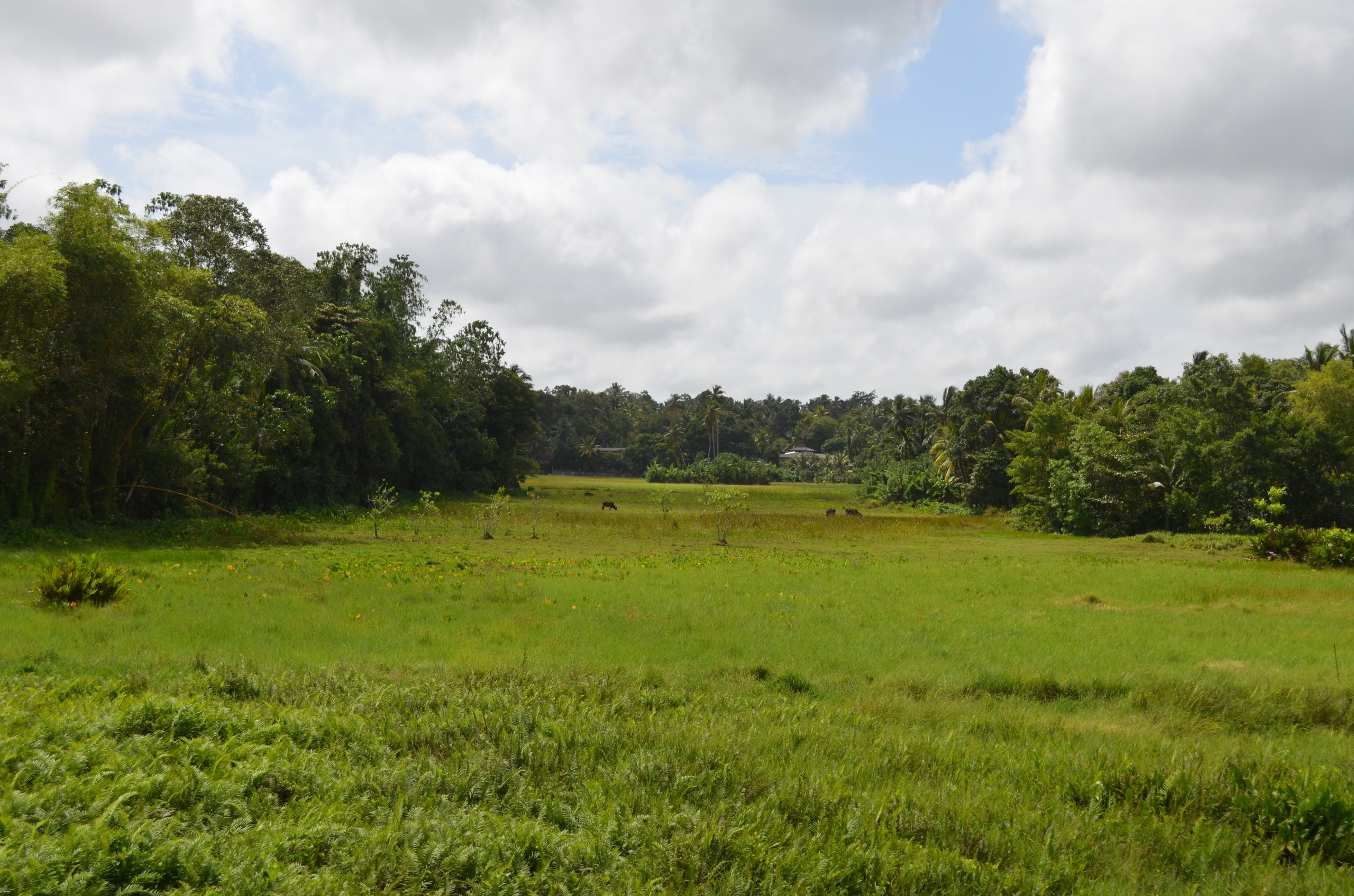 Sri Lanka — Maldives. Milok et Kirok sont des gens positifs et réels. Nous serons ravis de v