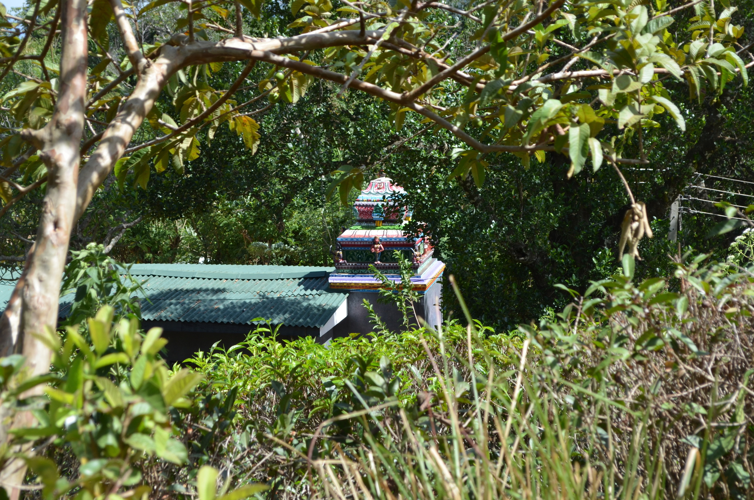 Sri Lanka — Maldives. Milok et Kirok sont des gens positifs et réels. Nous serons ravis de v