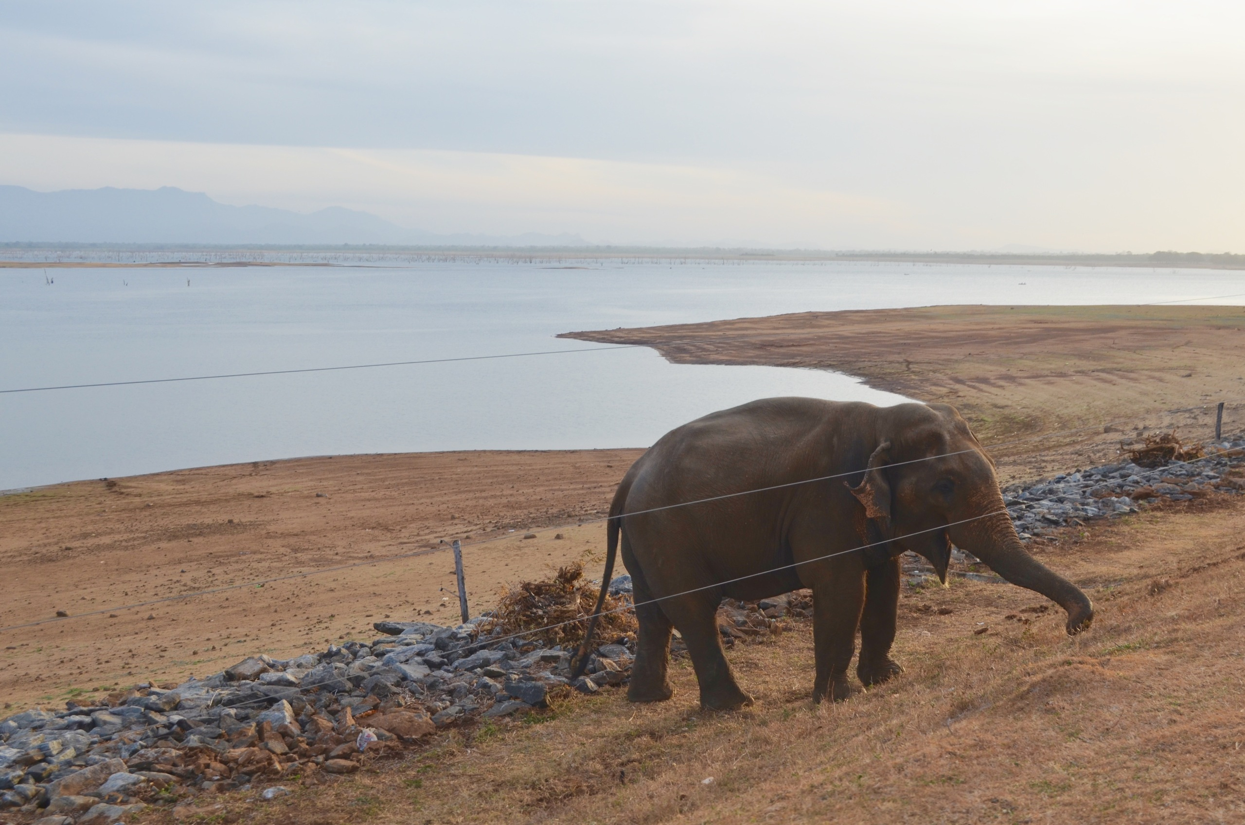 Sri Lanka — Maldives. Milok et Kirok sont des gens positifs et réels. Nous serons ravis de v
