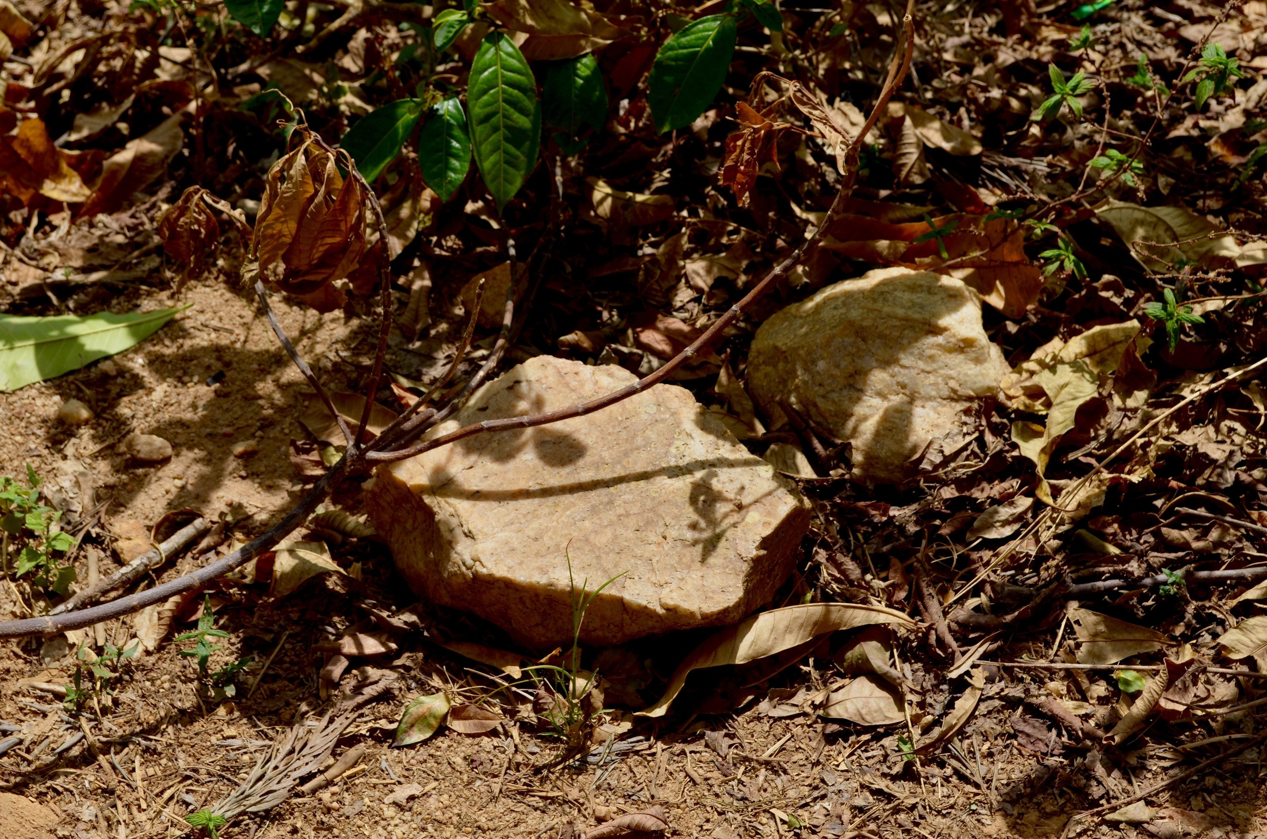 Sri Lanka — Maldives. Milok et Kirok sont des gens positifs et réels. Nous serons ravis de v