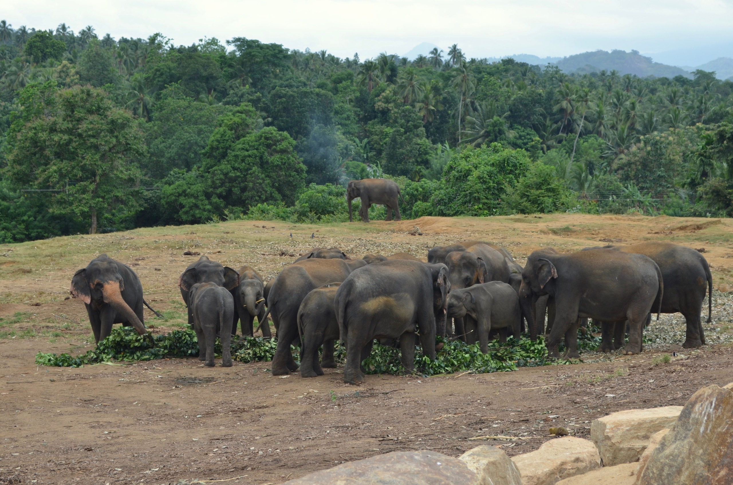 Sri Lanka — Maldives. Milok et Kirok sont des gens positifs et réels. Nous serons ravis de v