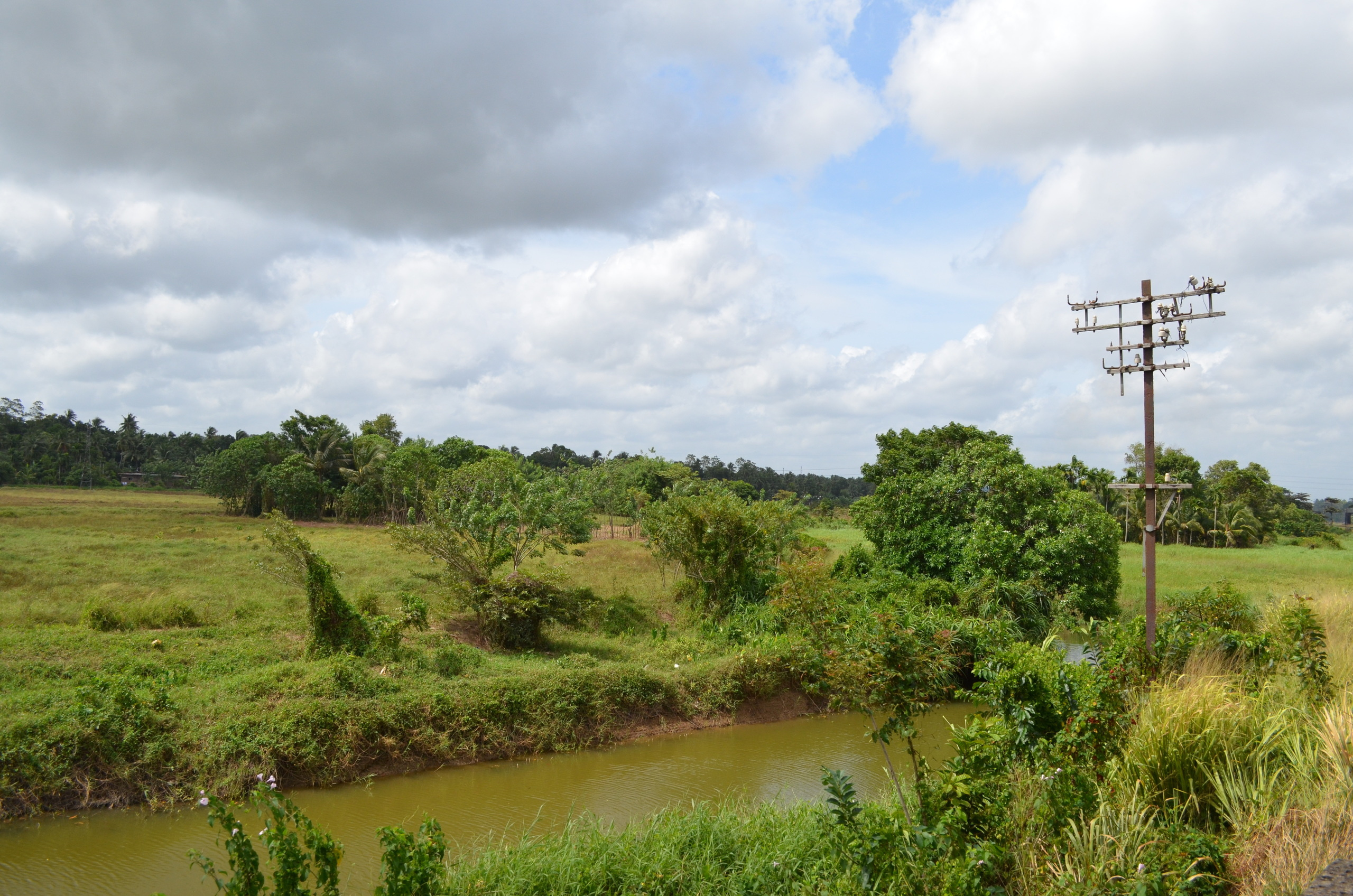 Sri Lanka — Maldives. Milok et Kirok sont des gens positifs et réels. Nous serons ravis de v