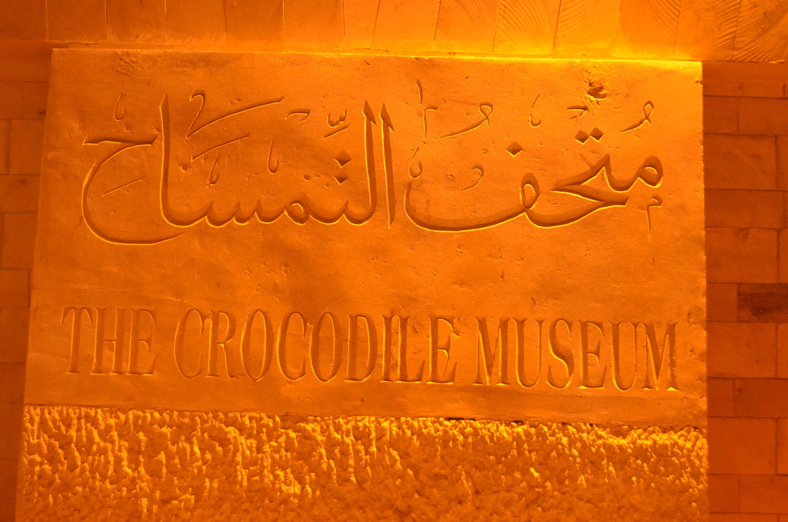 Croisière sur le Nil. Milok et Kirok sont des gens positifs et réels. Nous serons ravis de v