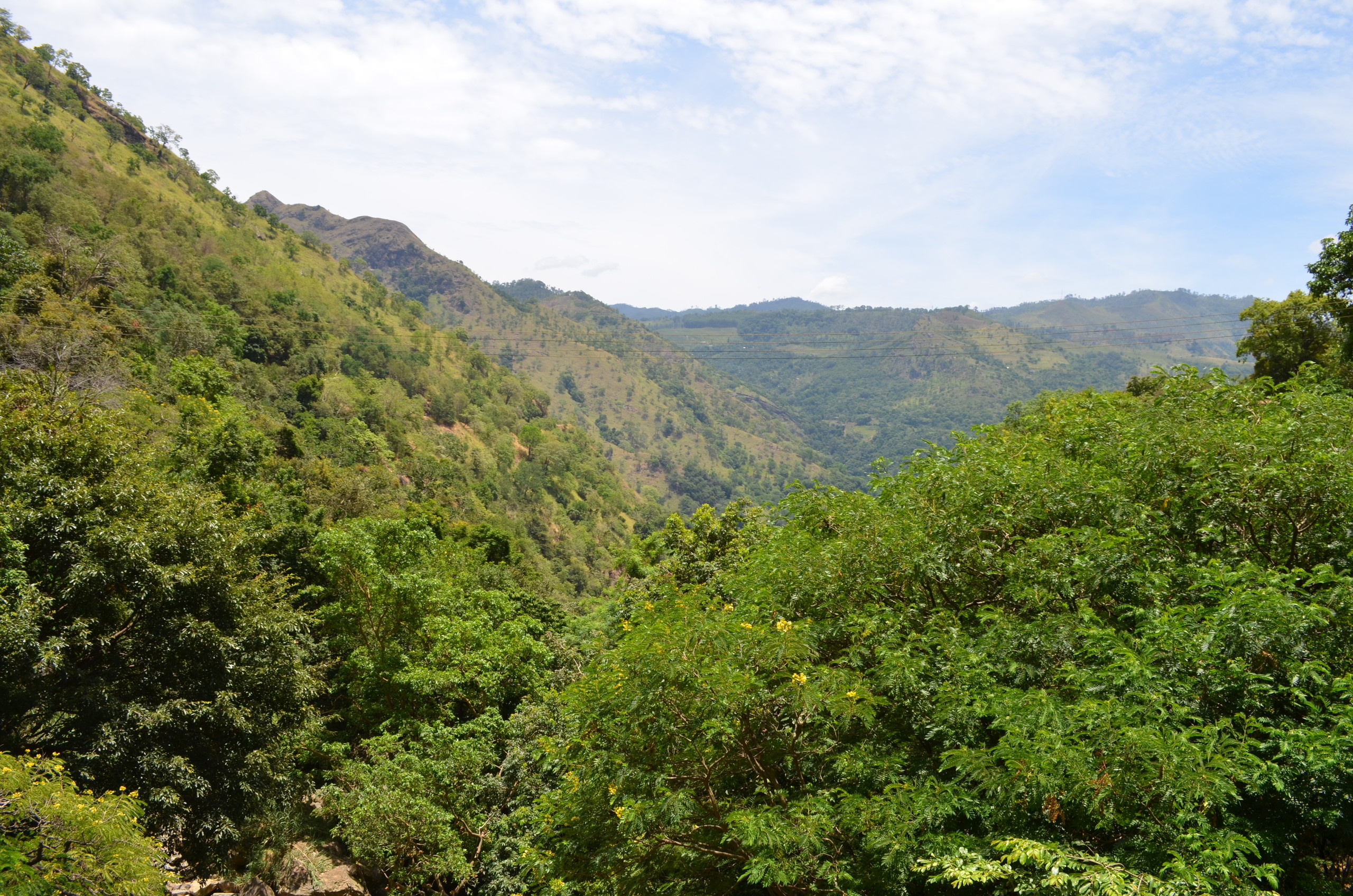 Sri Lanka — Maldives. Milok et Kirok sont des gens positifs et réels. Nous serons ravis de v