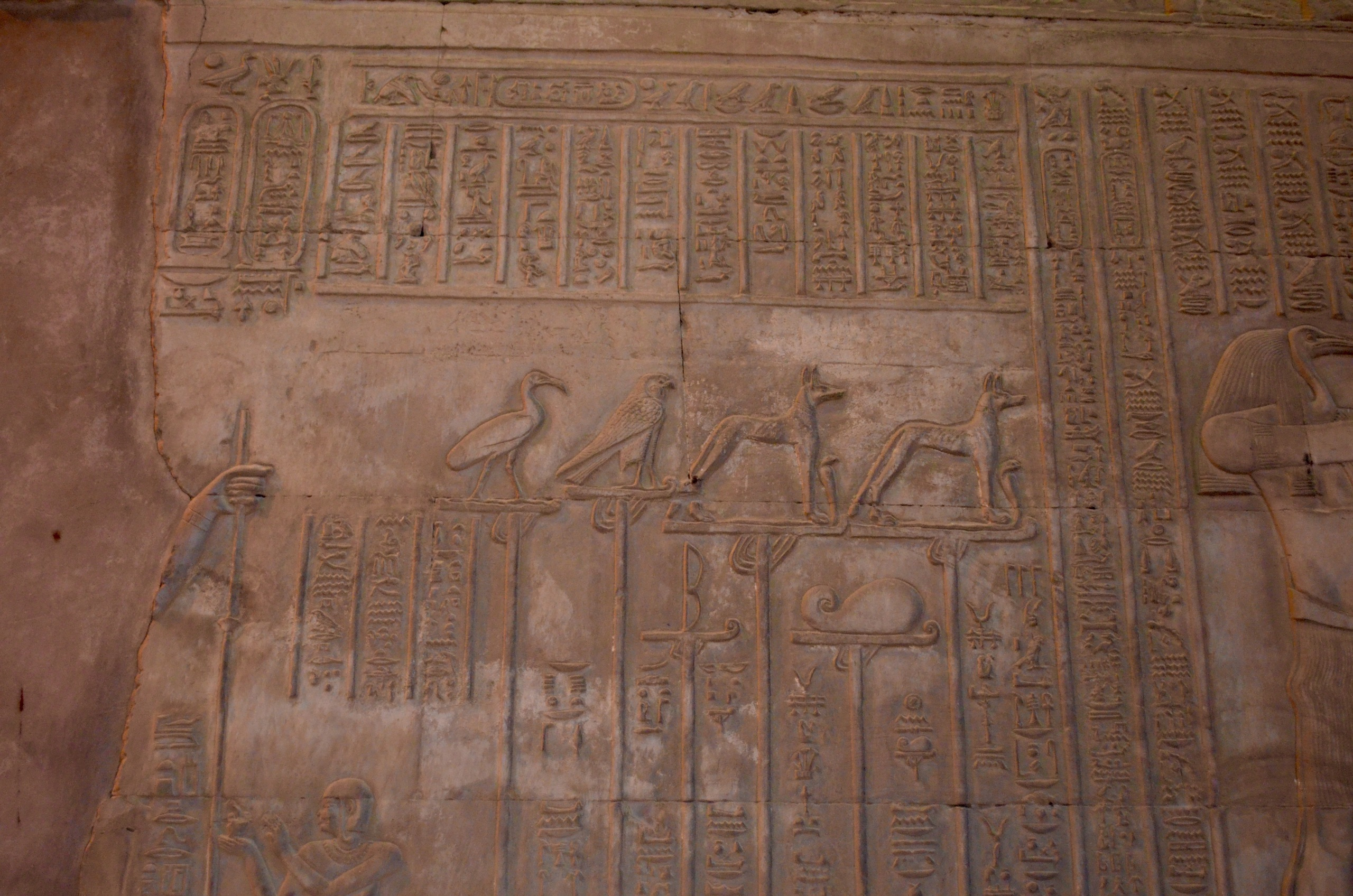 Croisière sur le Nil. Milok et Kirok sont des gens positifs et réels. Nous serons ravis de v