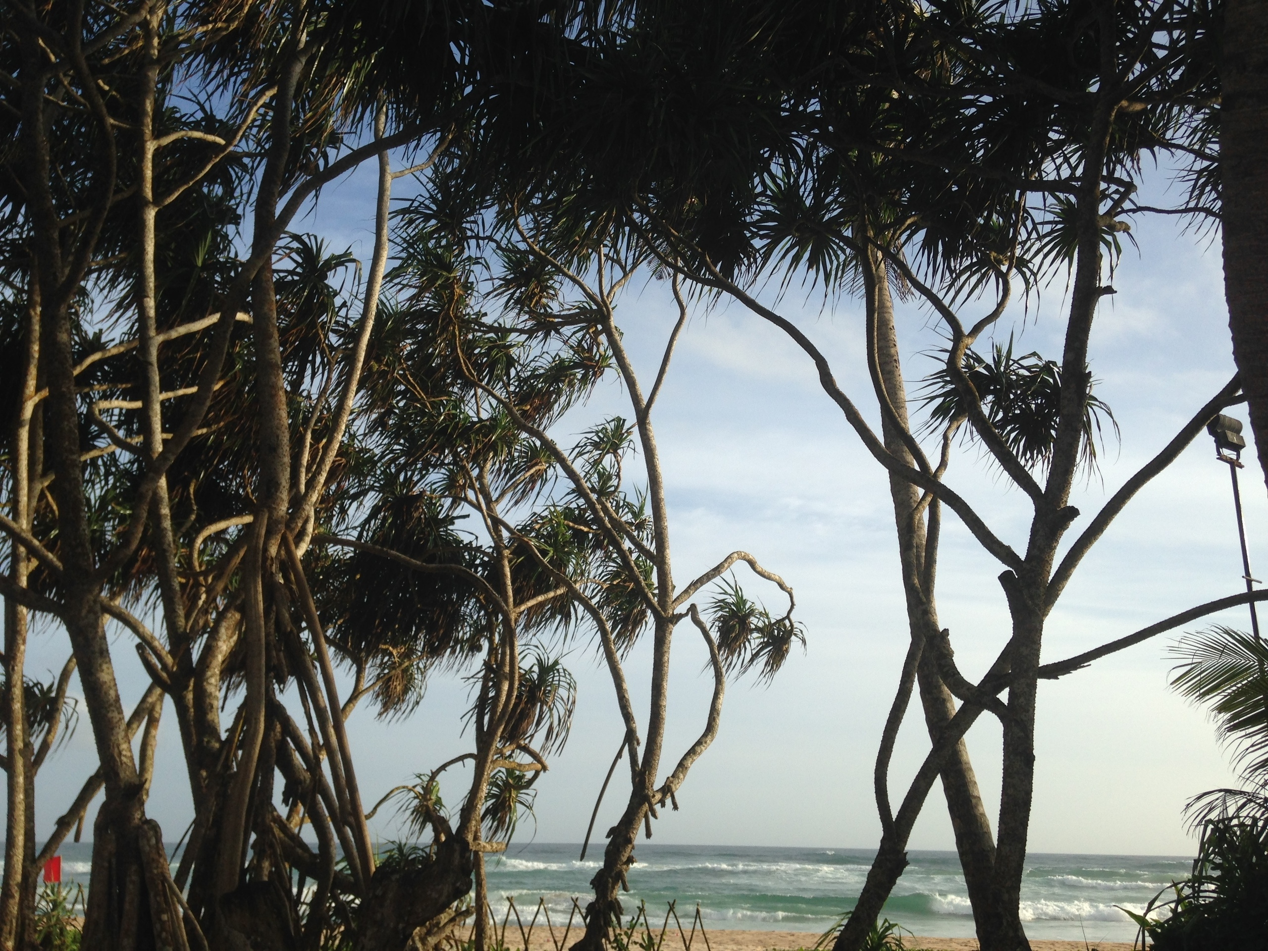 Sri Lanka — Maldives. Milok et Kirok sont des gens positifs et réels. Nous serons ravis de v