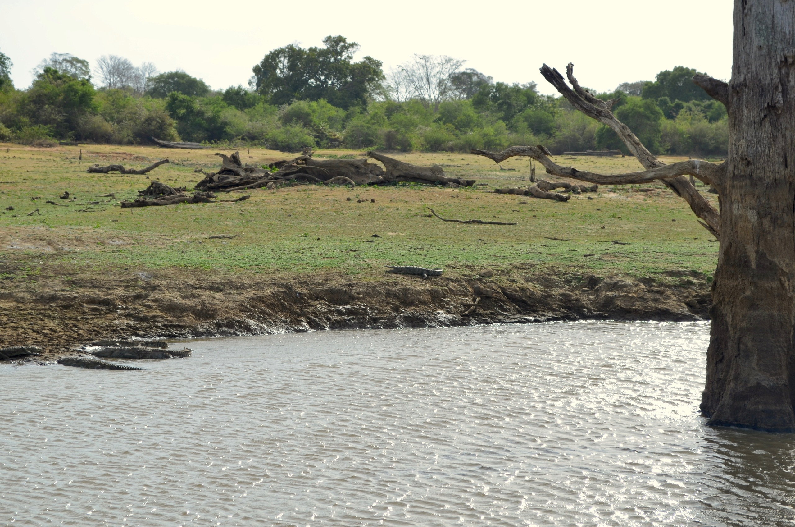 Sri Lanka — Maldives. Milok et Kirok sont des gens positifs et réels. Nous serons ravis de v