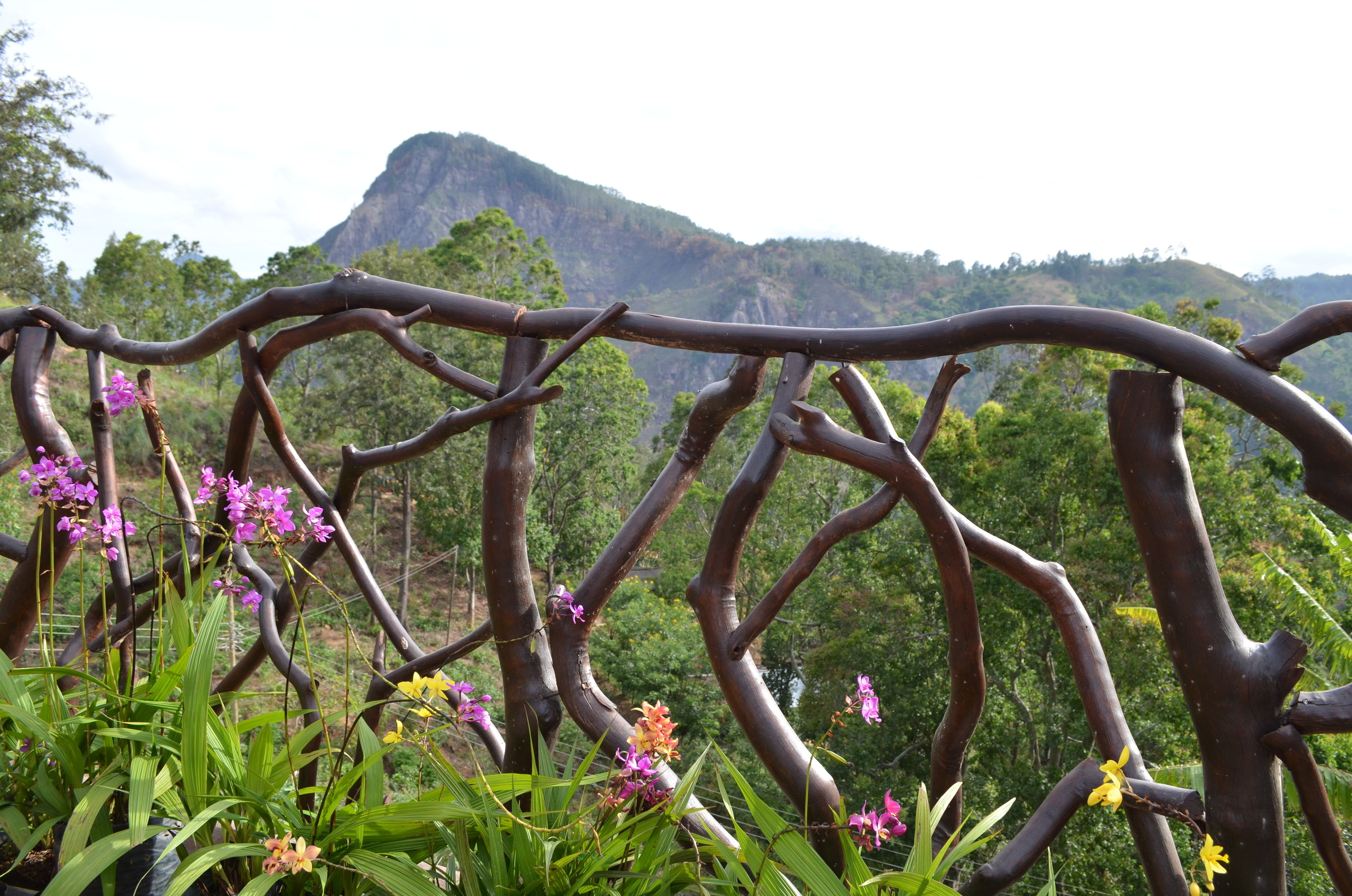 Sri Lanka — Maldives. Milok et Kirok sont des gens positifs et réels. Nous serons ravis de v