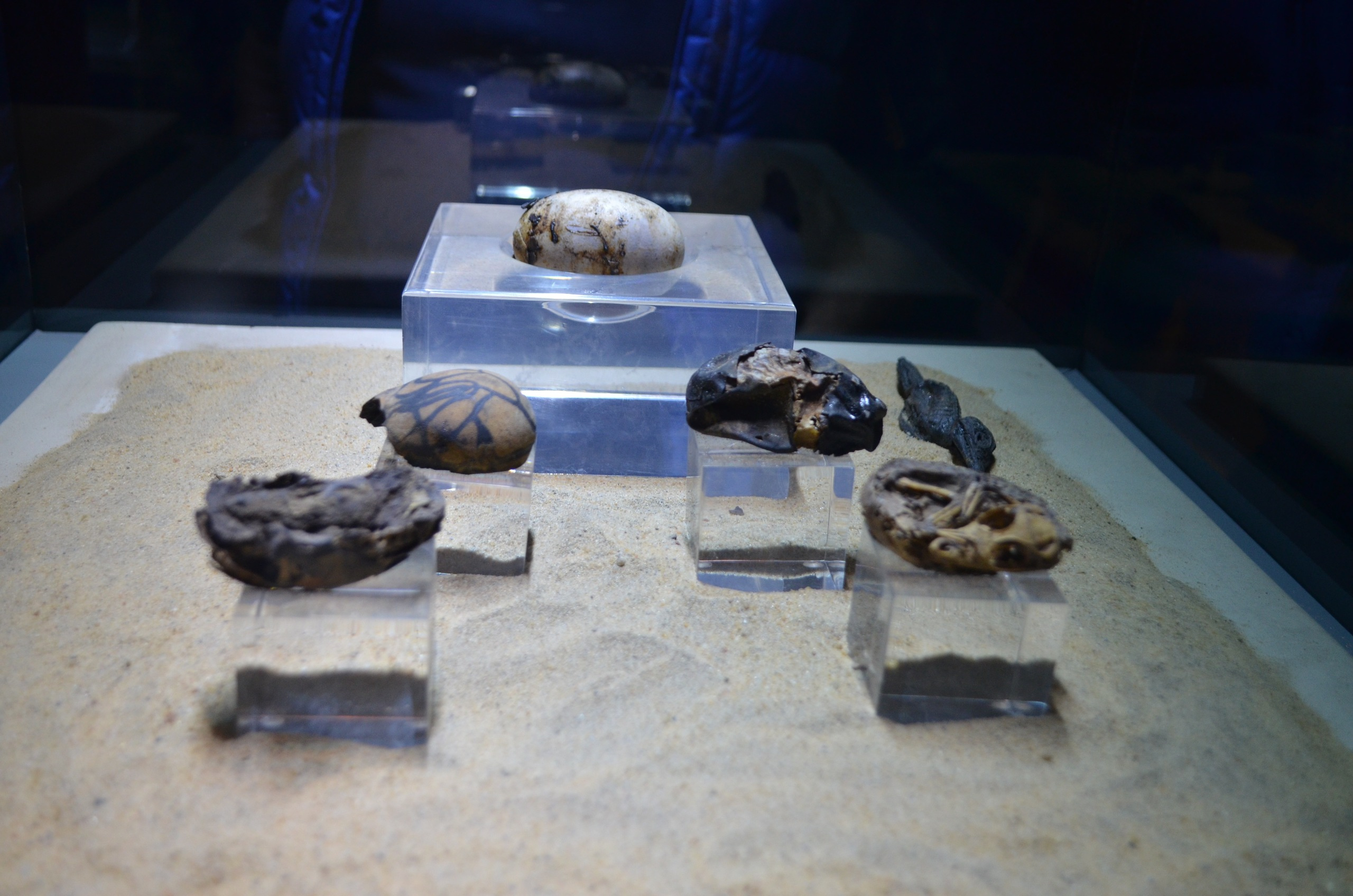 Croisière sur le Nil. Milok et Kirok sont des gens positifs et réels. Nous serons ravis de v