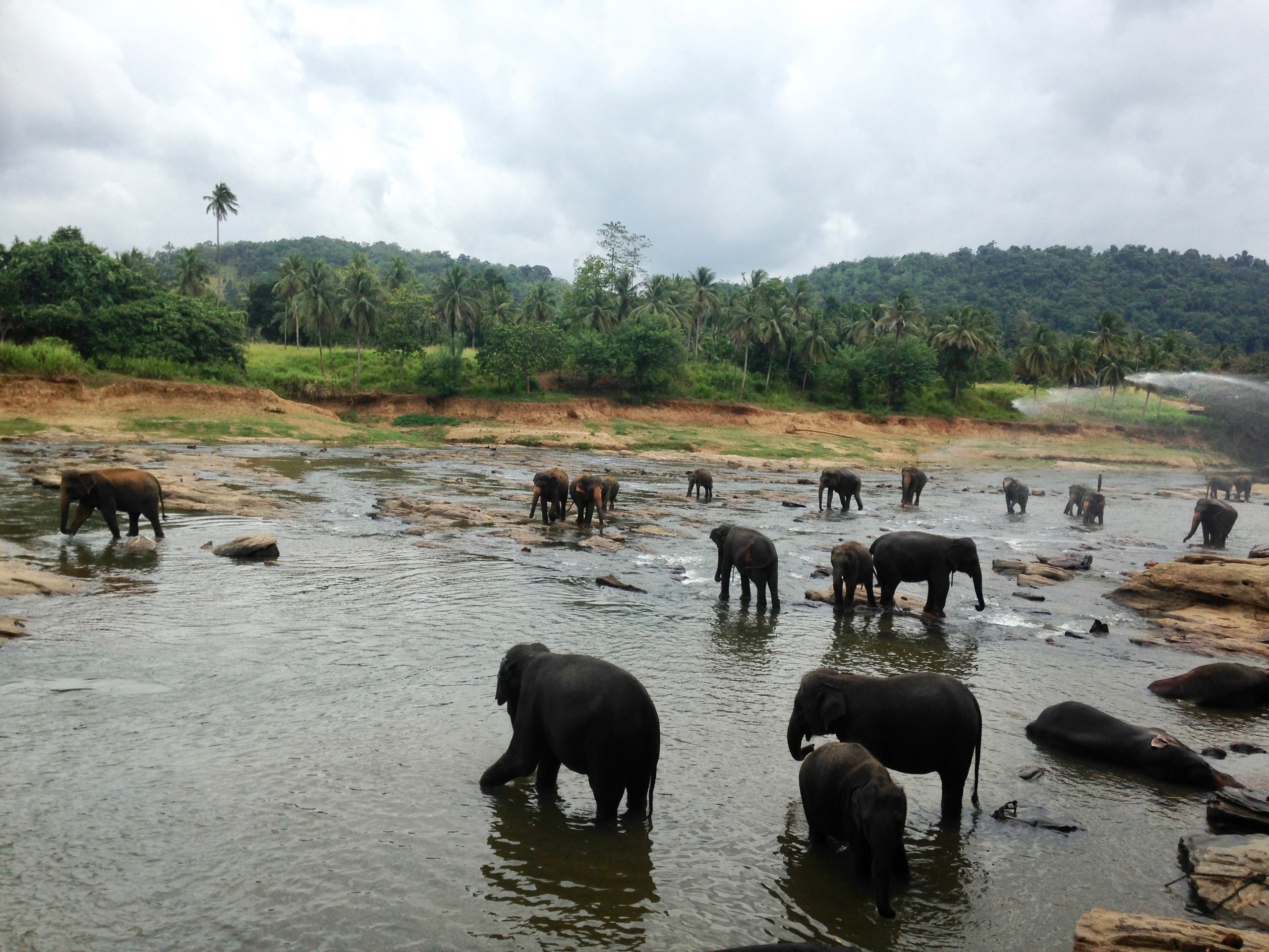 Sri Lanka — Maldives. Milok et Kirok sont des gens positifs et réels. Nous serons ravis de v