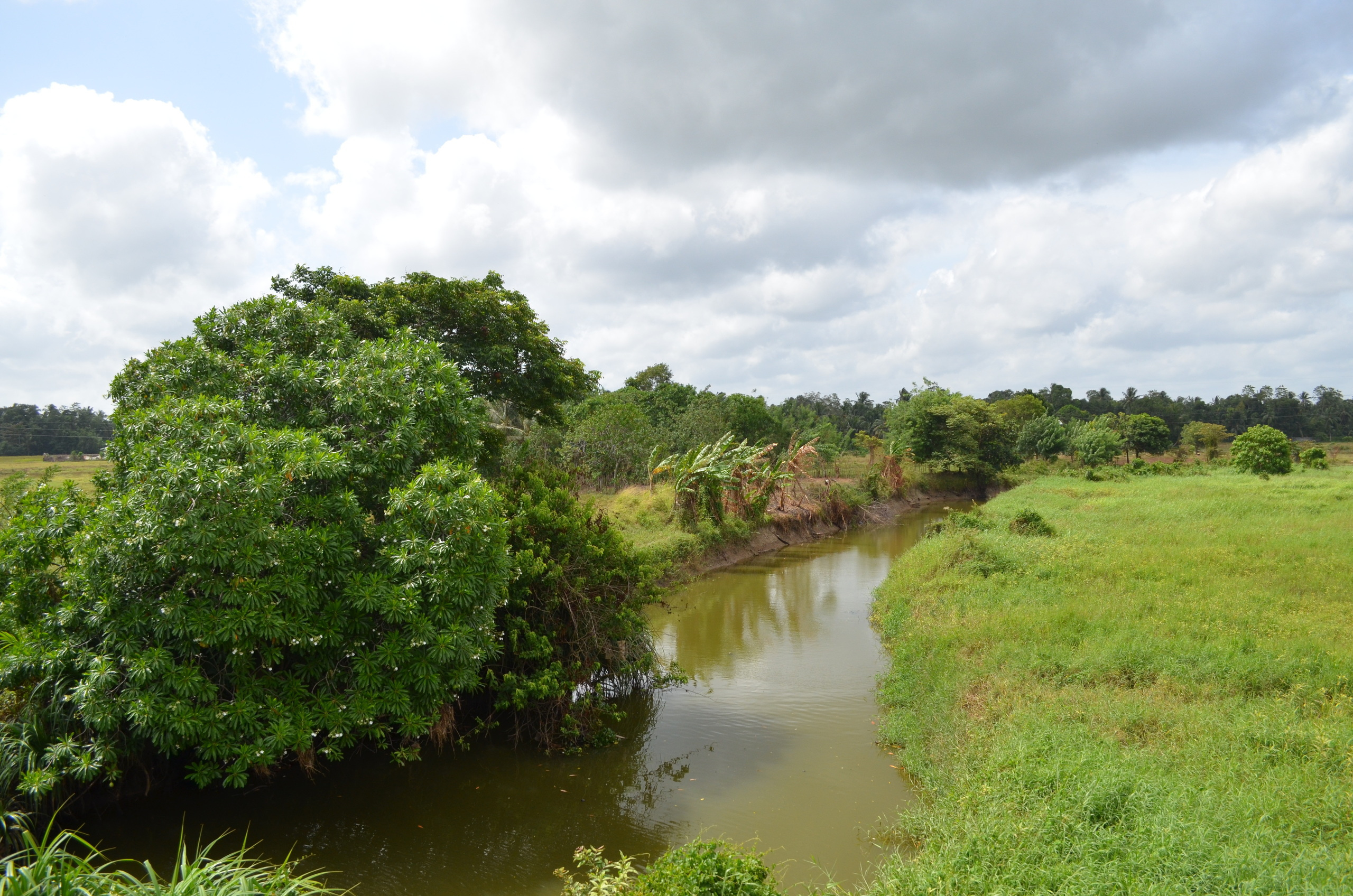 Sri Lanka — Maldives. Milok et Kirok sont des gens positifs et réels. Nous serons ravis de v