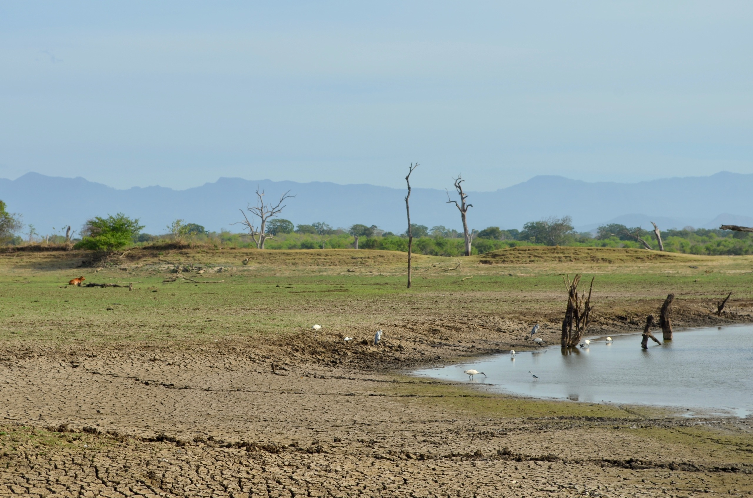 Sri Lanka — Maldives. Milok et Kirok sont des gens positifs et réels. Nous serons ravis de v