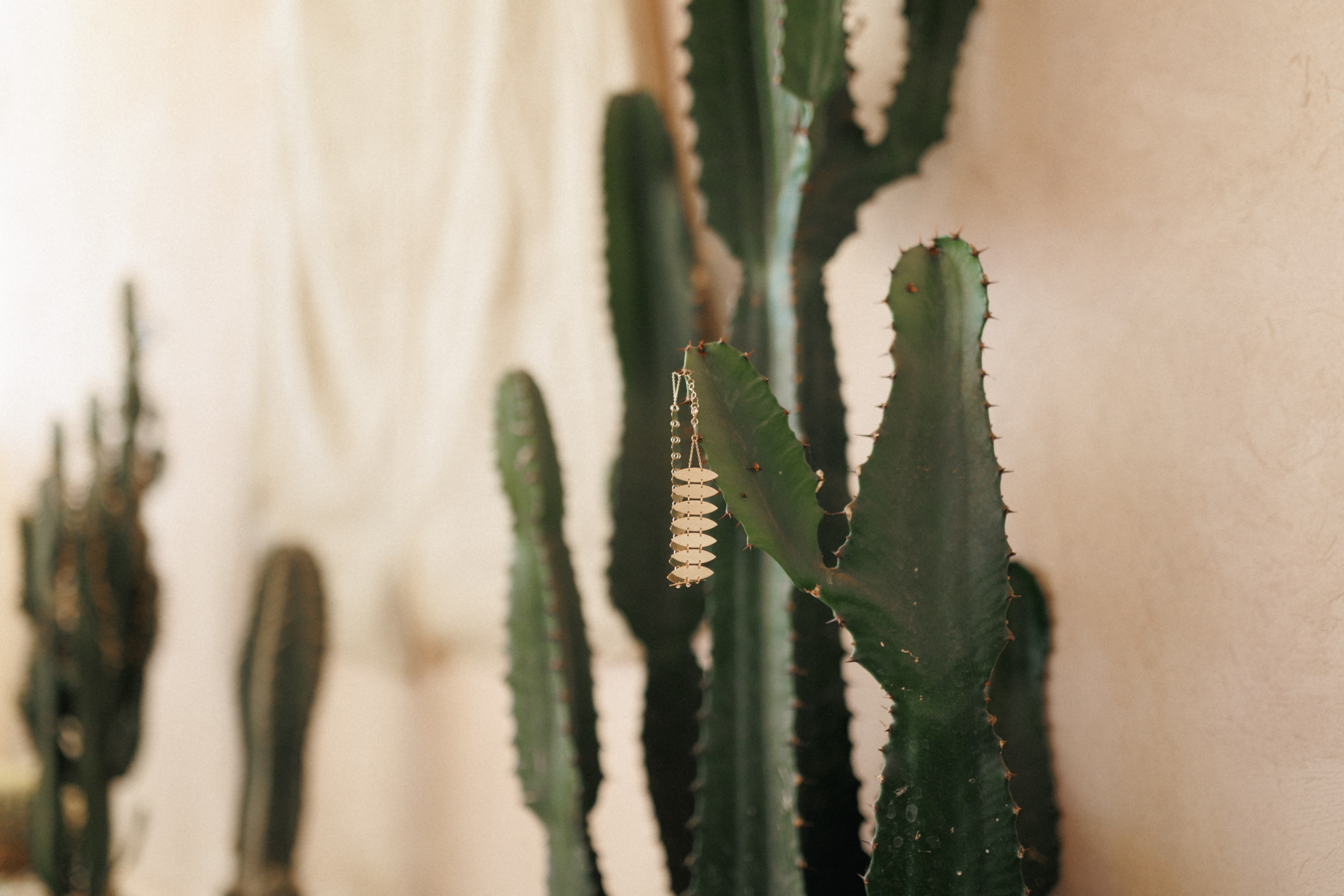 Morrocan dream. Patricia Morenci — Mountain Adventures for the Wild at Heart