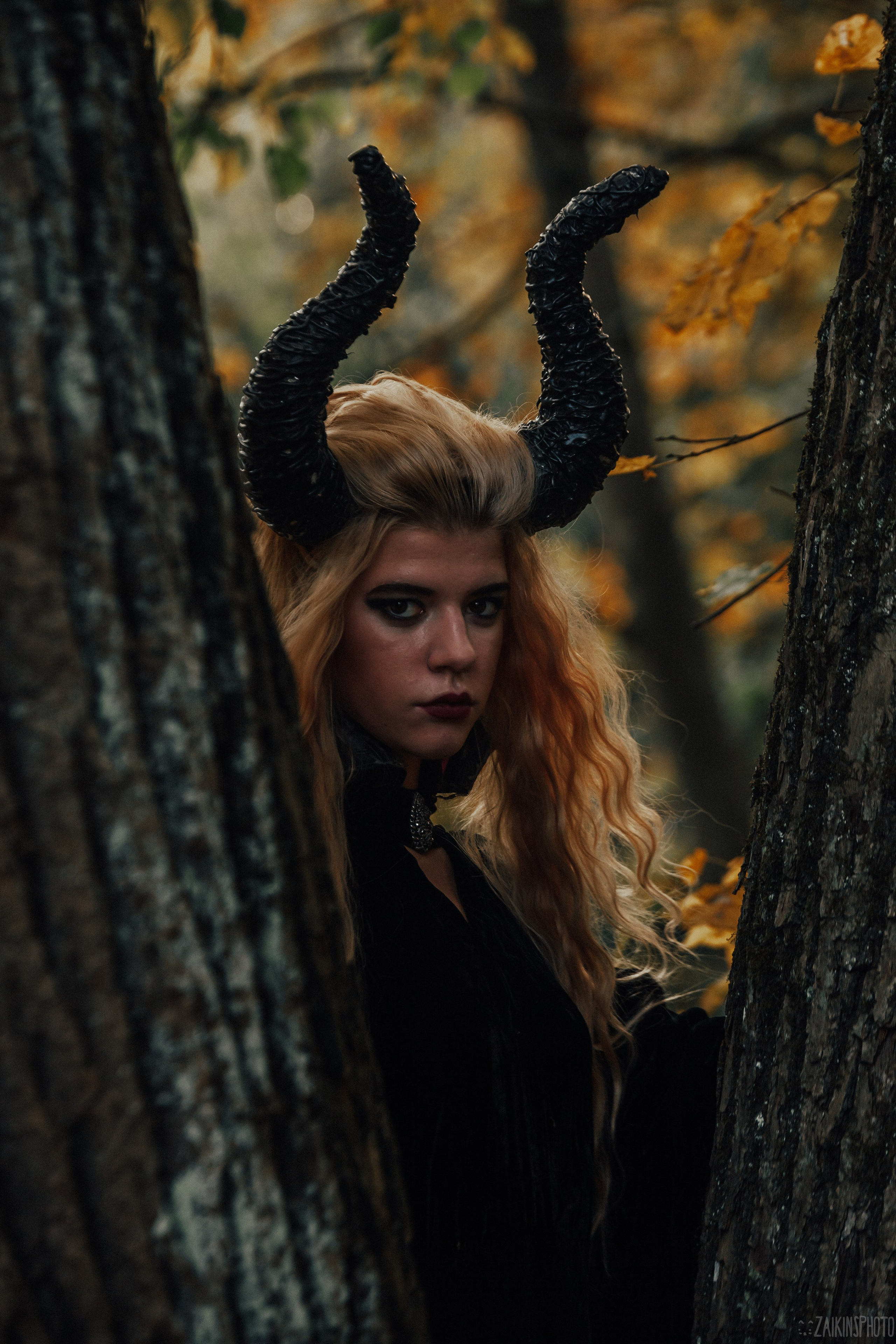 The Dark Autumn. Main