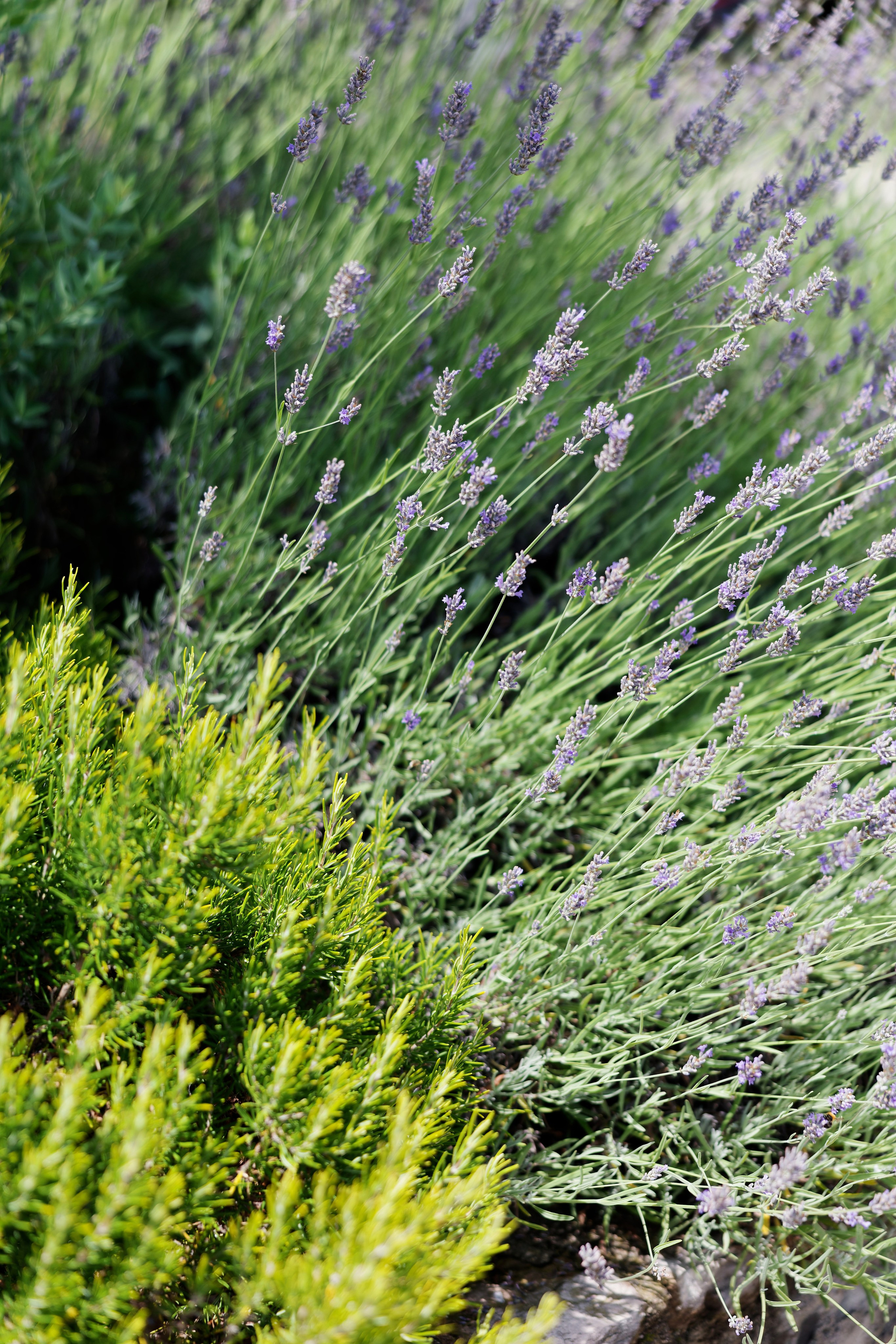 Wedding at Villa Bettoni on Lake Garda