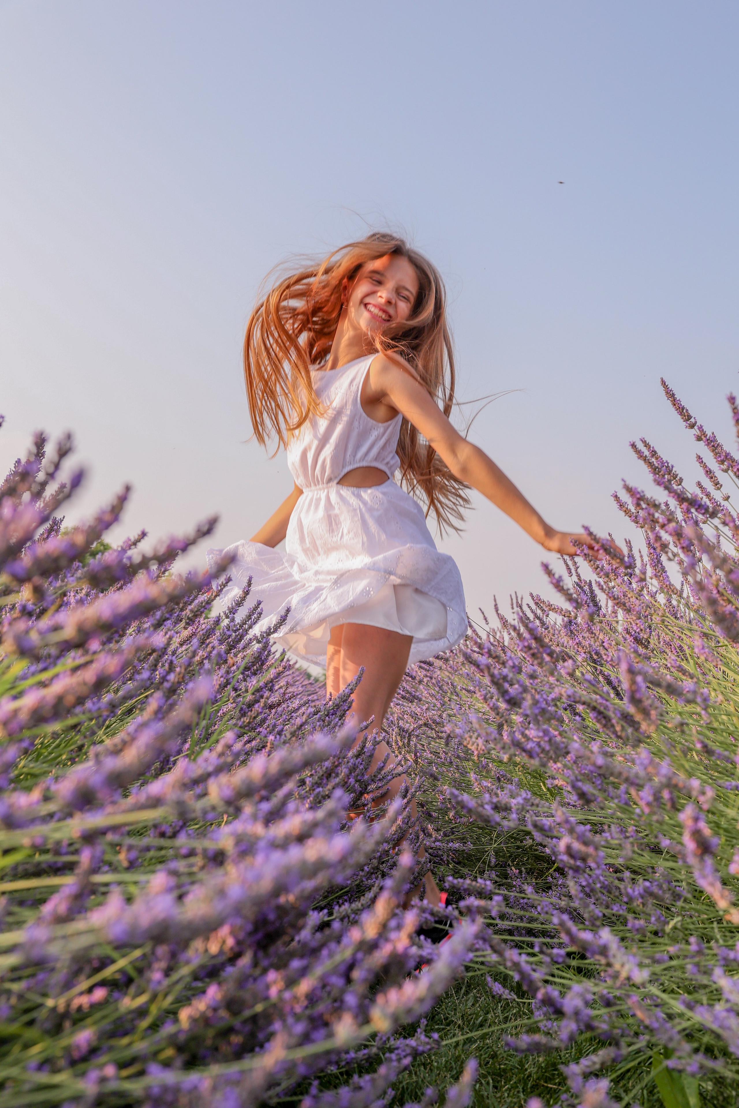 Lavanda. Photographer, Videomaker, Drone, Padova, Venice, Italy, Elena Radchenko