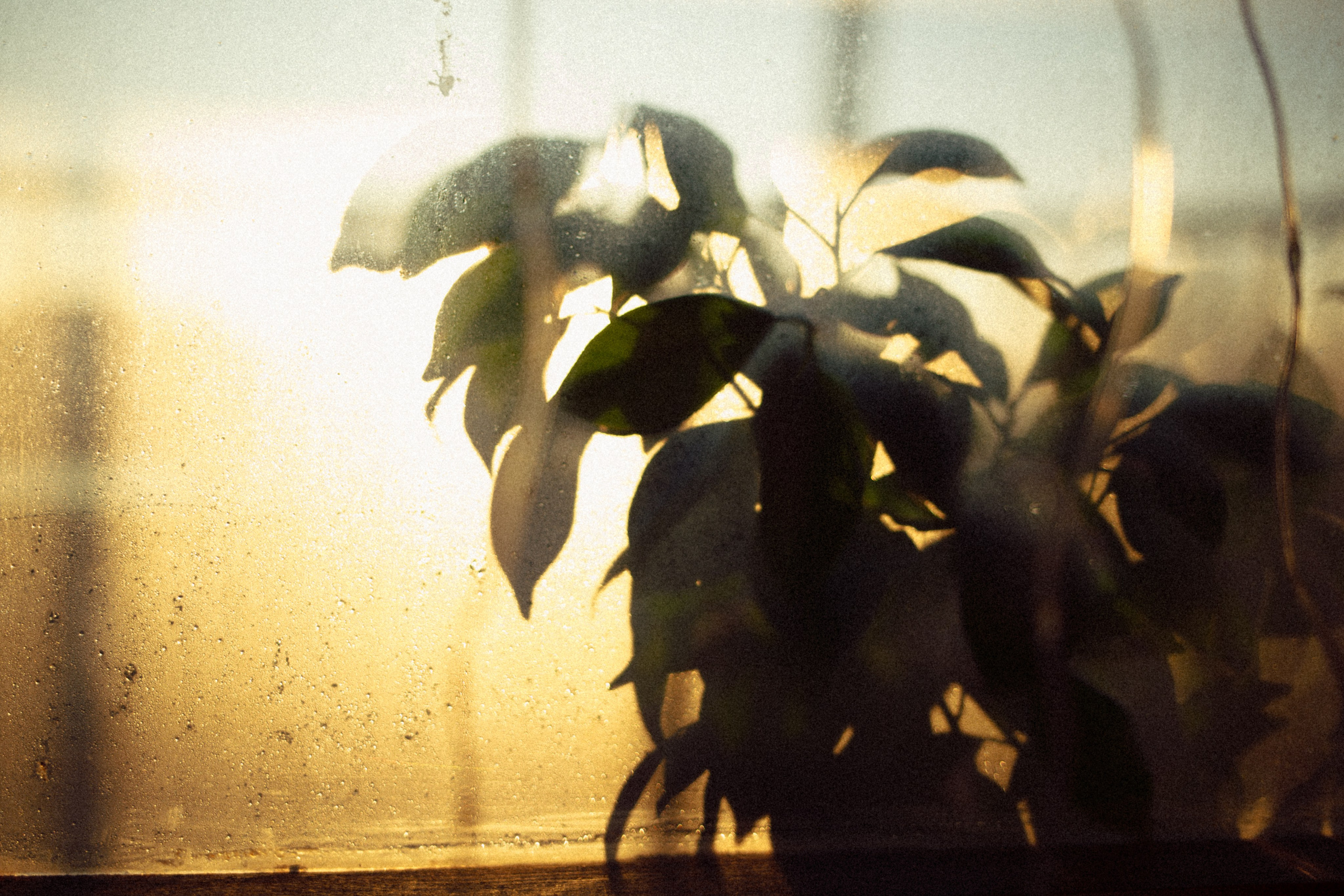 Stills from a Movie That Never Existed — Conceptual Photography by Marina Kálcheva. Marina Kálcheva — Photographer, Videographer & Visual Artist in Barcelona