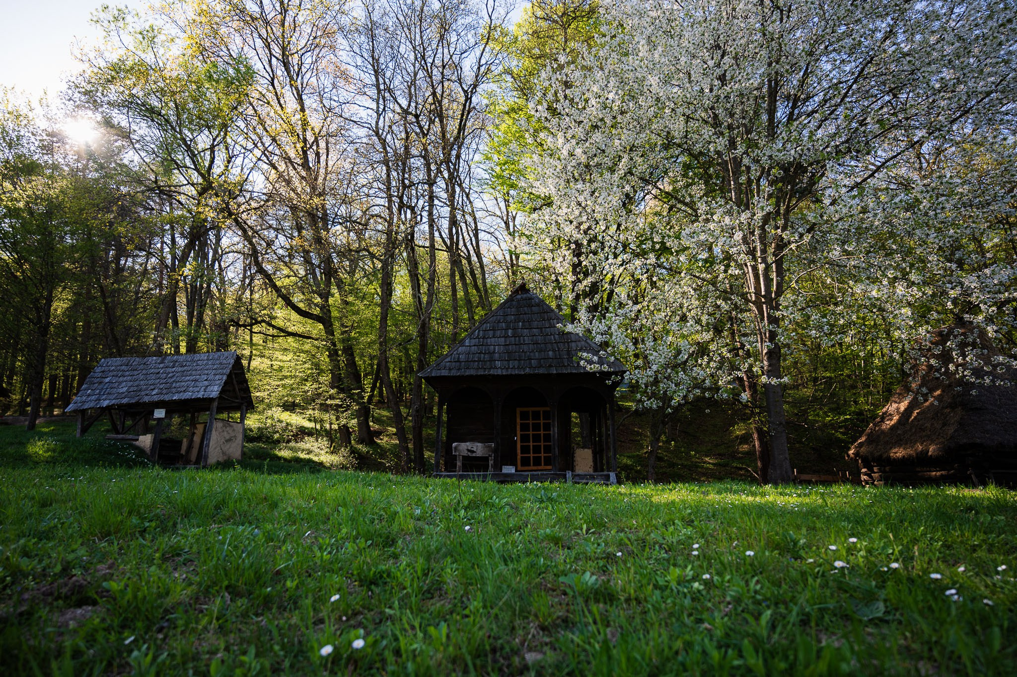 Sedinta love story Larisa&David