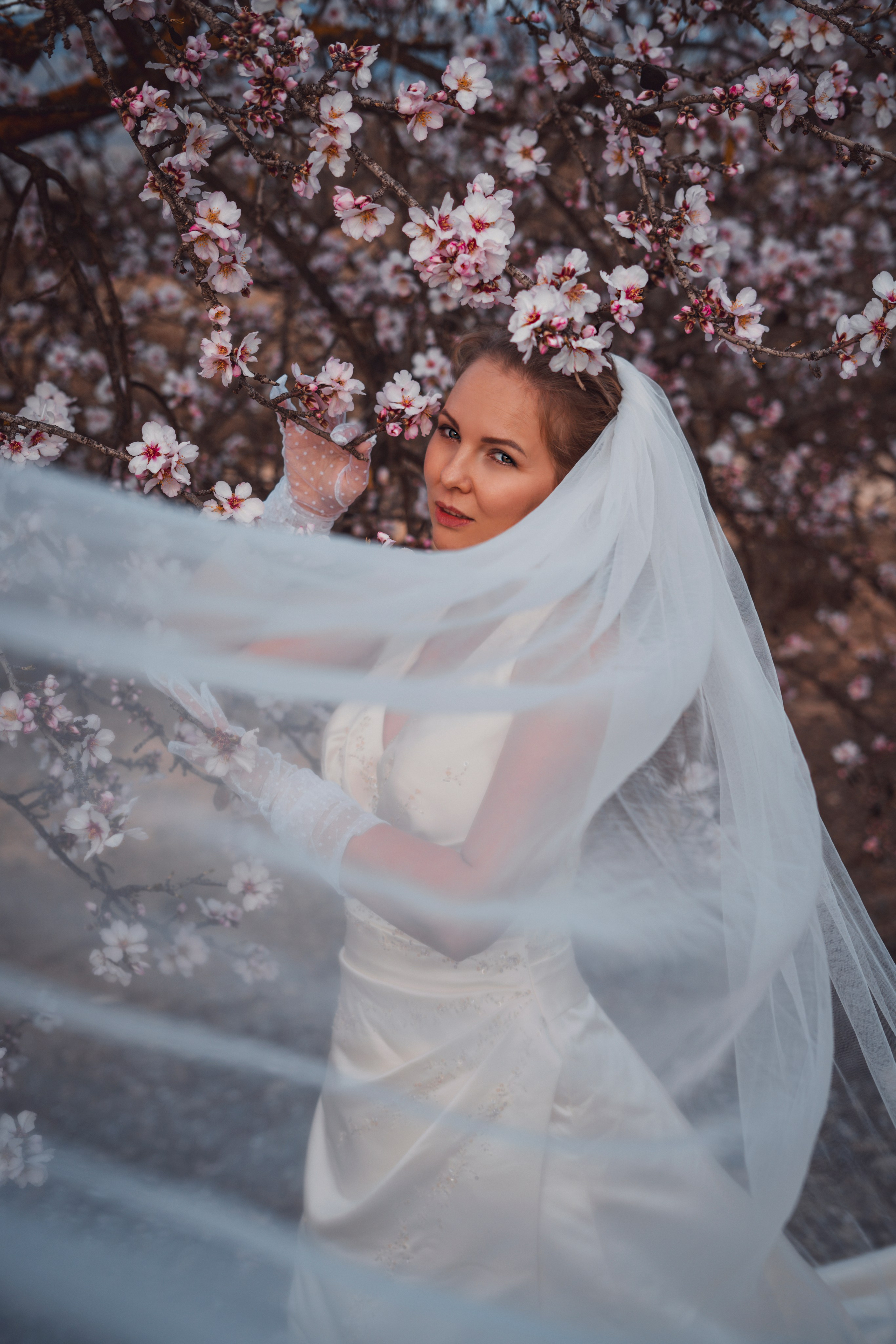 Свадебная прогулка в цветущем миндале. Анастасия Благова — Твой фотограф в Малаге 🇪🇸