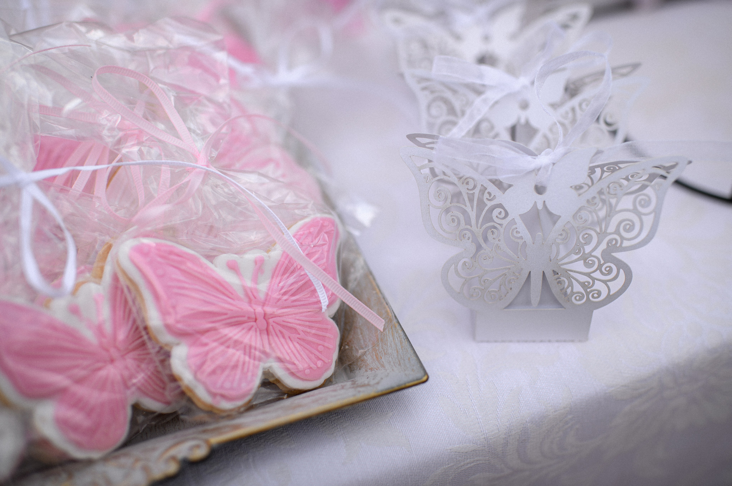 Baptism Iris. Семейная, детская, портретная и предметная фотосъемка в Салониках