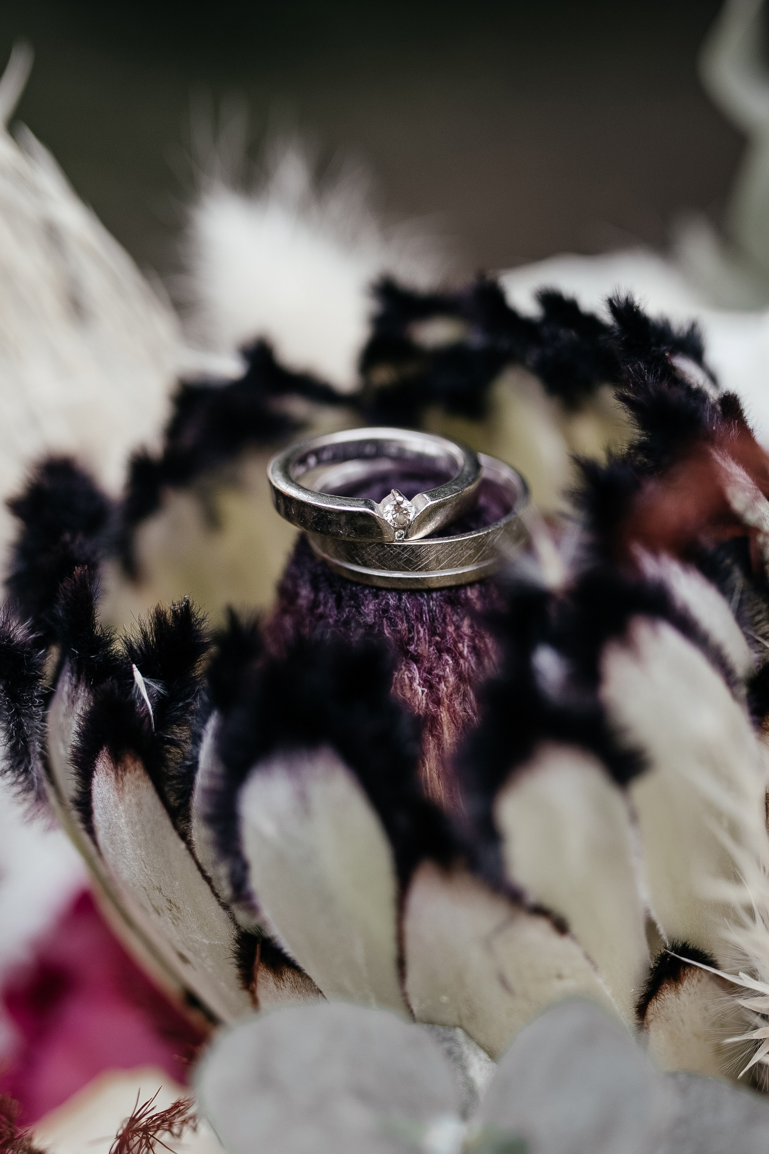 Hochzeitfotografin. Familien-, Hochzeits- und Newbornfotografin Neustadt an der Weinstraße