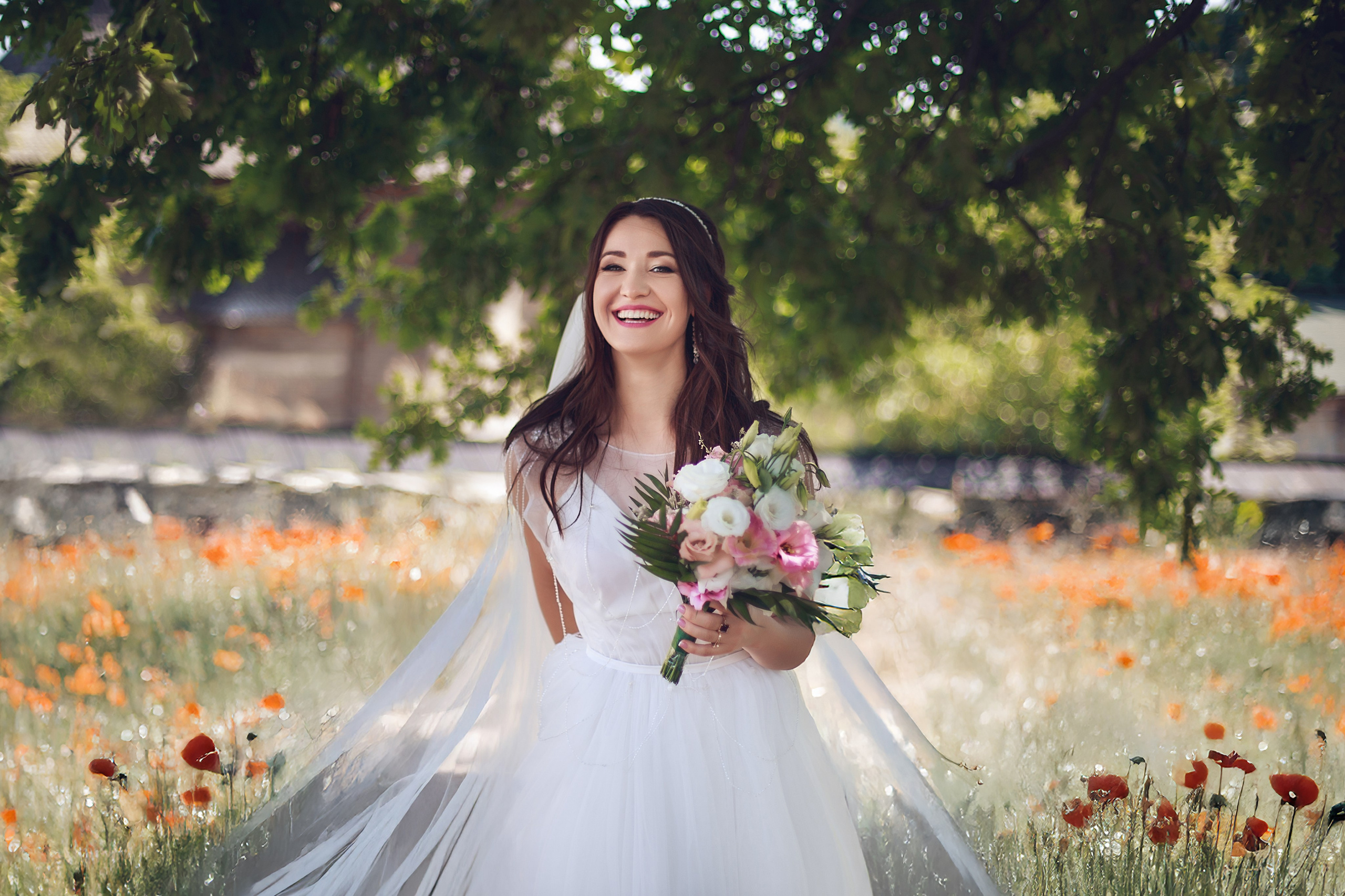 Wedding. Wedding, Family Photographer