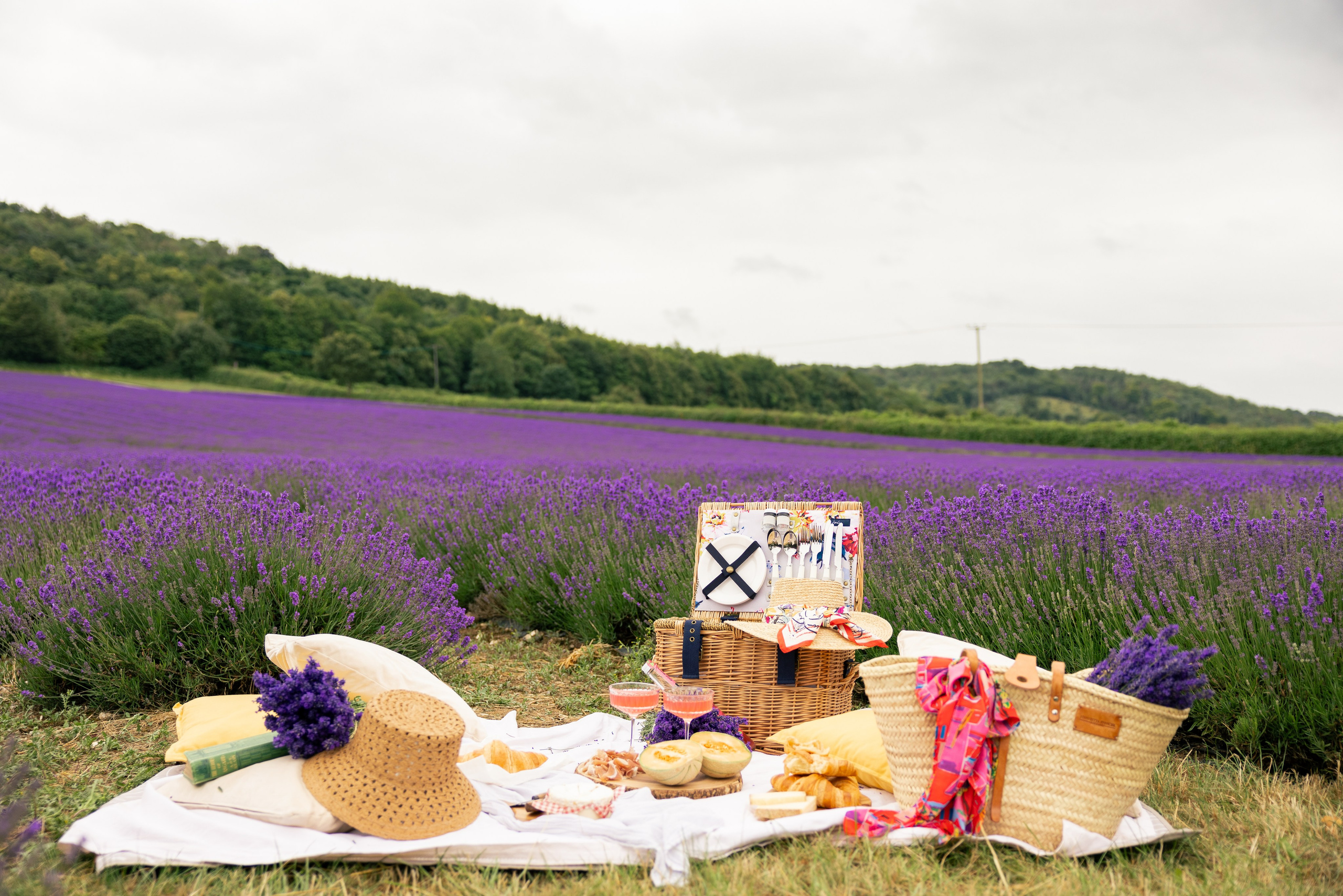 Lavender Picnics. PHOTOGRAPHER IN LONDON