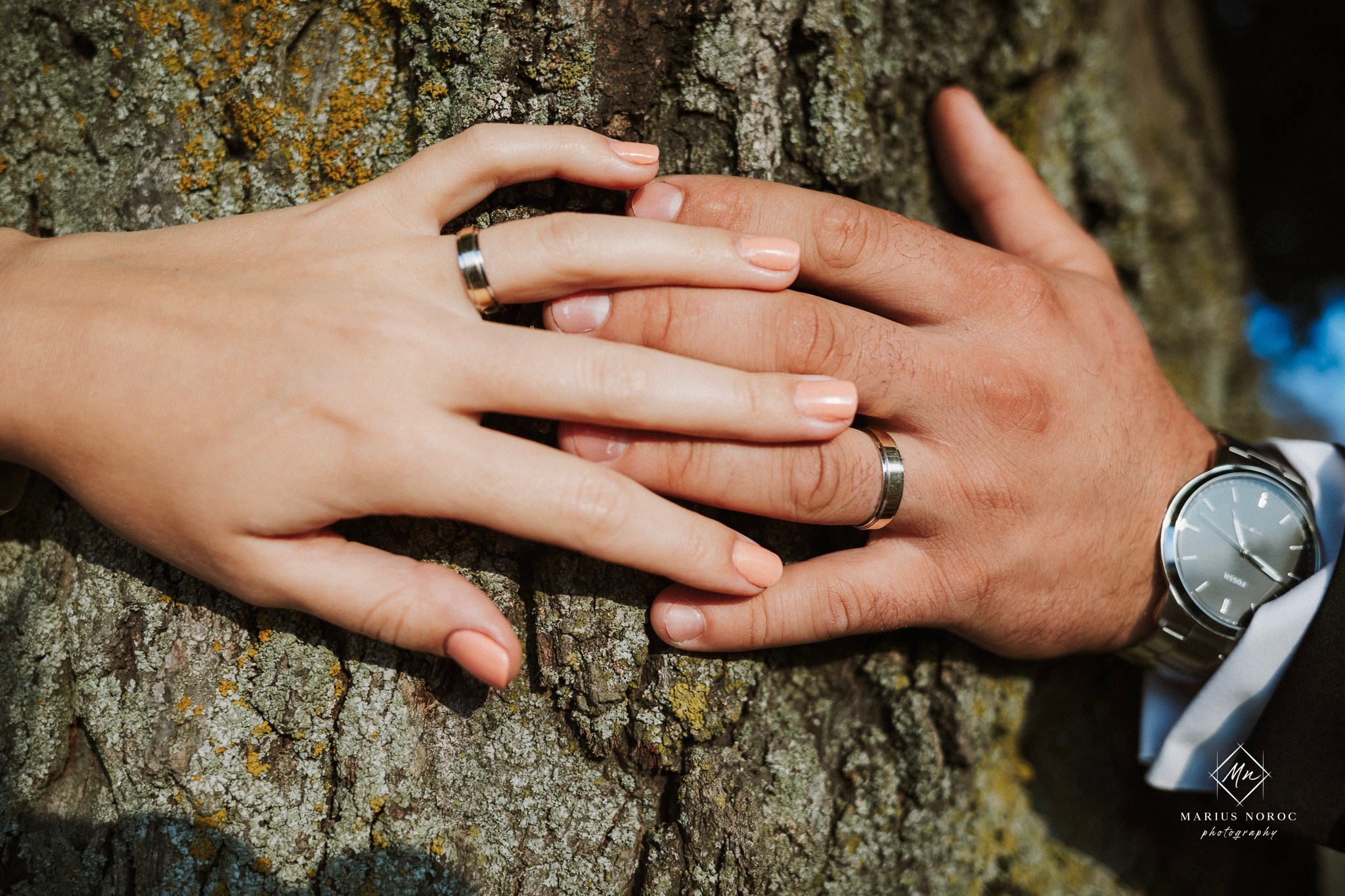 Alexandra & Laurentiu | Padurea Bucium Iasi