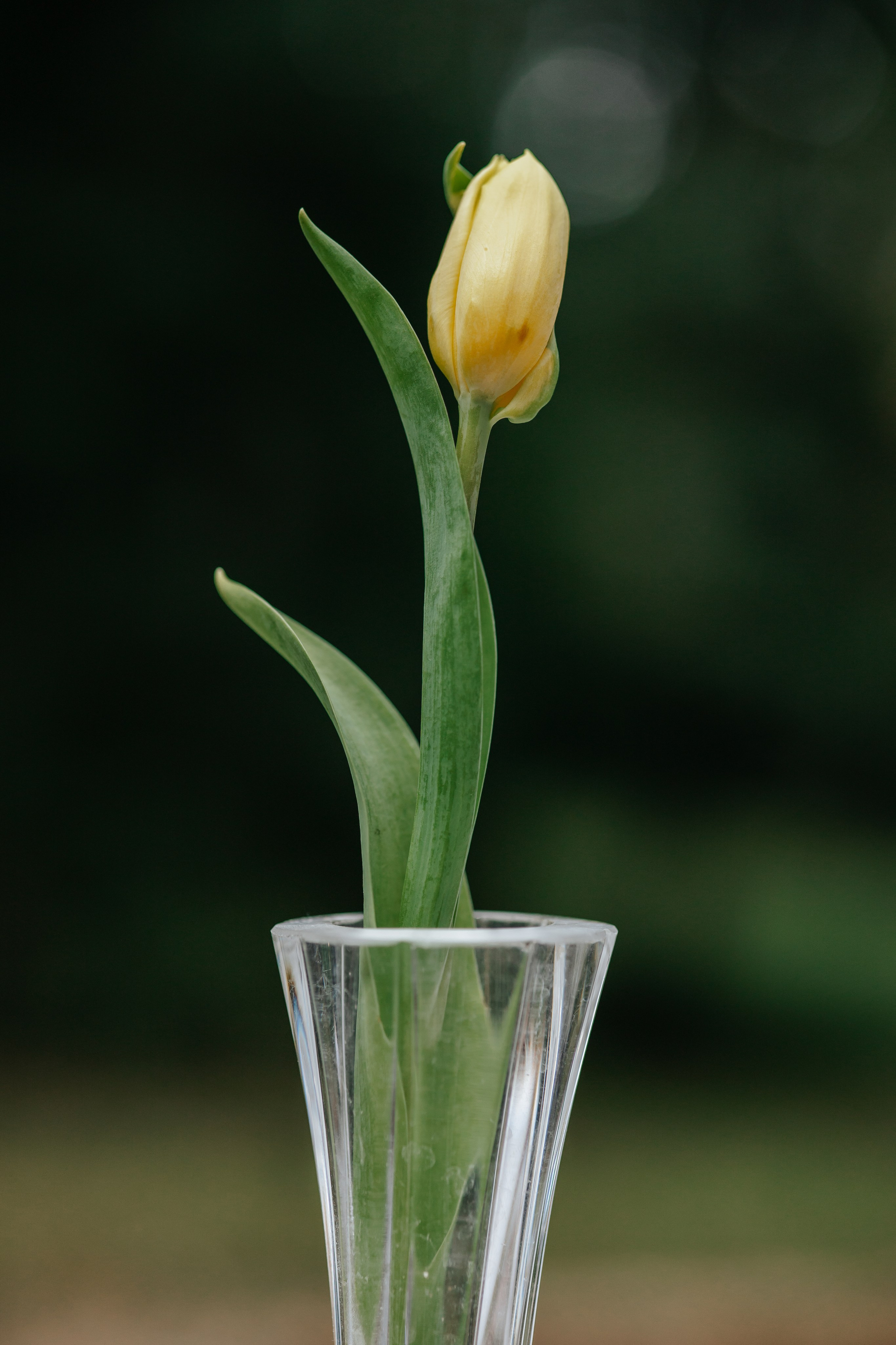 Aina+Albert, 14.09.2025, Restaurant Font Moixina. Fotógrafa de bodas en Cataluña