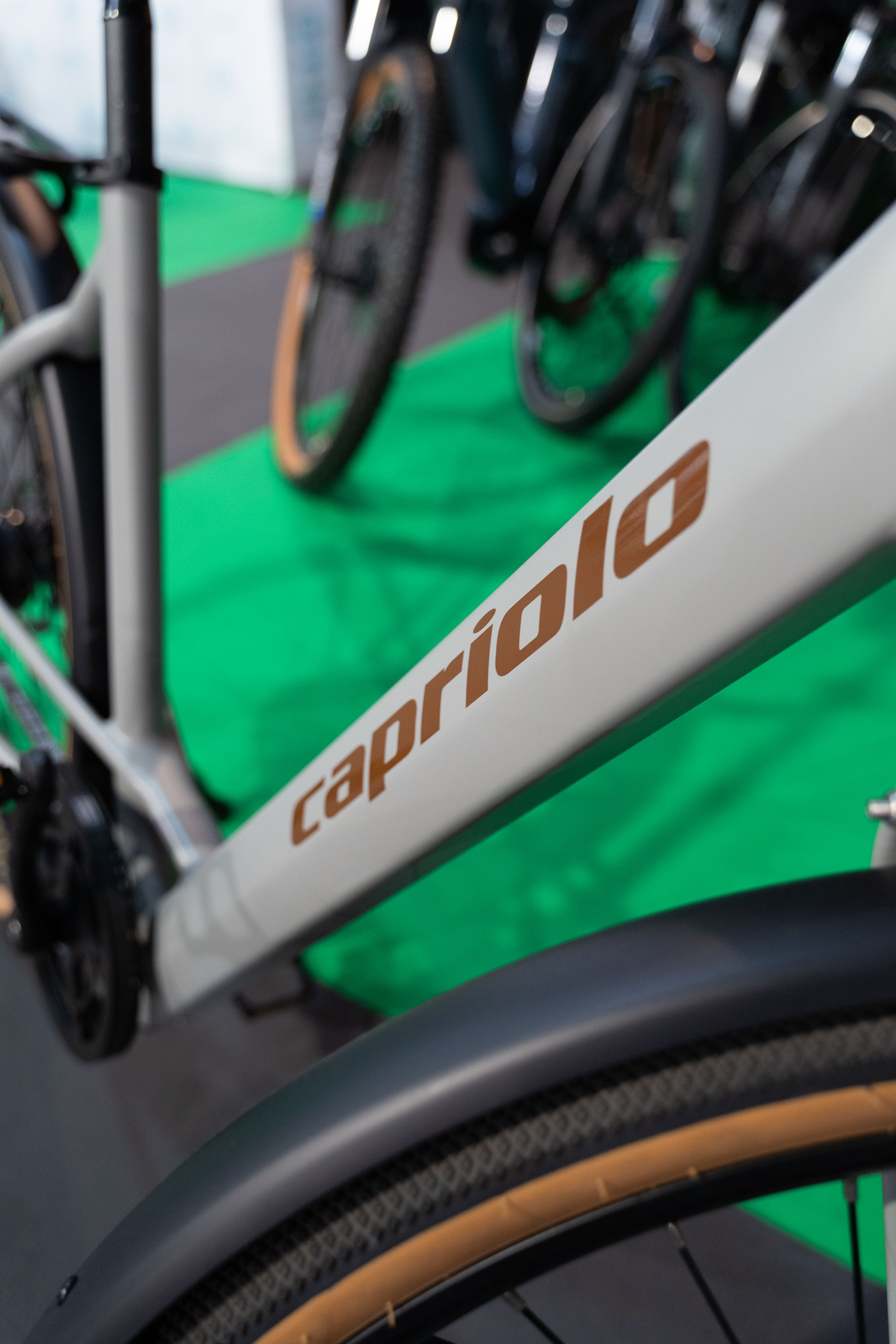 Electric Vehicles Days in Novi Sad 2024. Zhukov studio