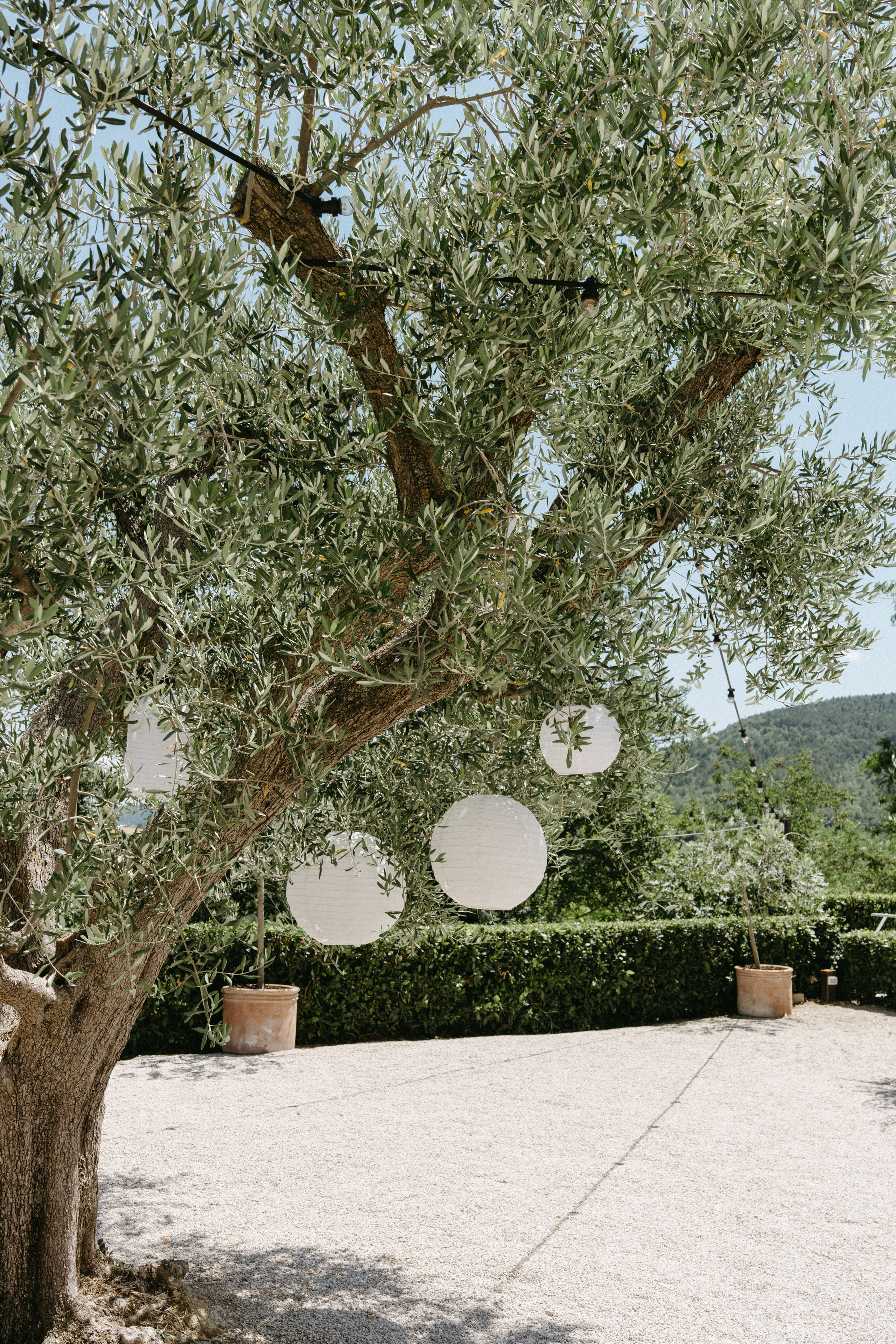 Sofia&Falk. Wedding photographer Italy