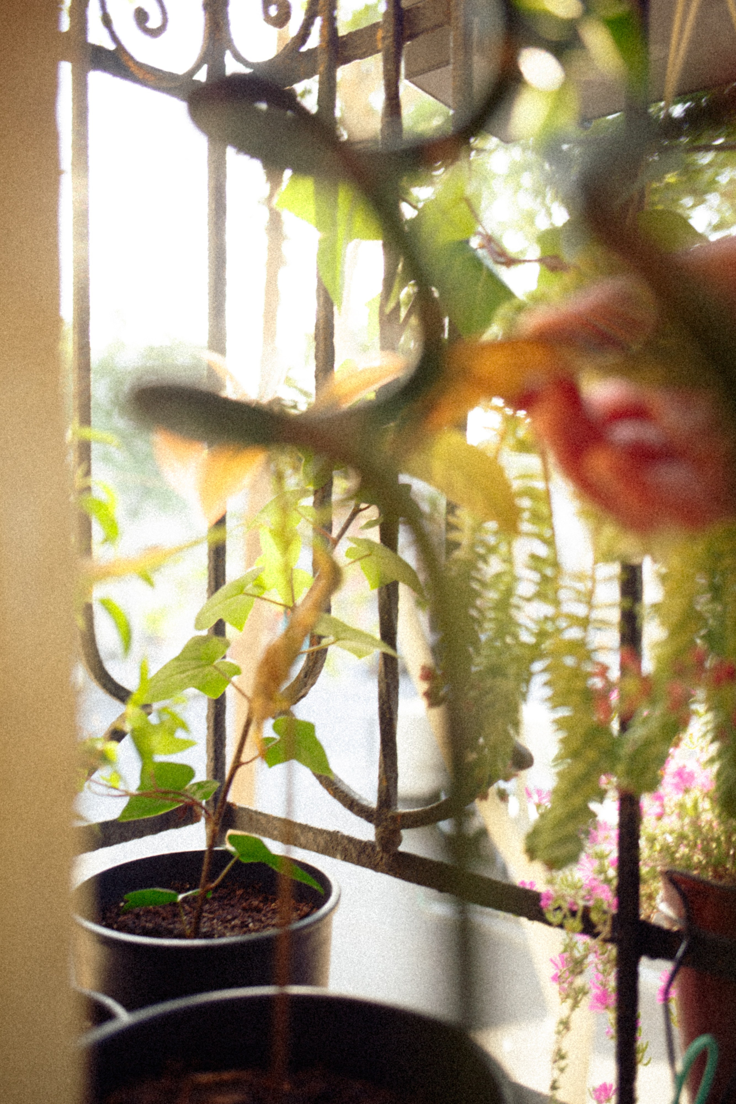 Composición rota. Marina Kálcheva – Photographer, Videographer & Visual Artist in Barcelona