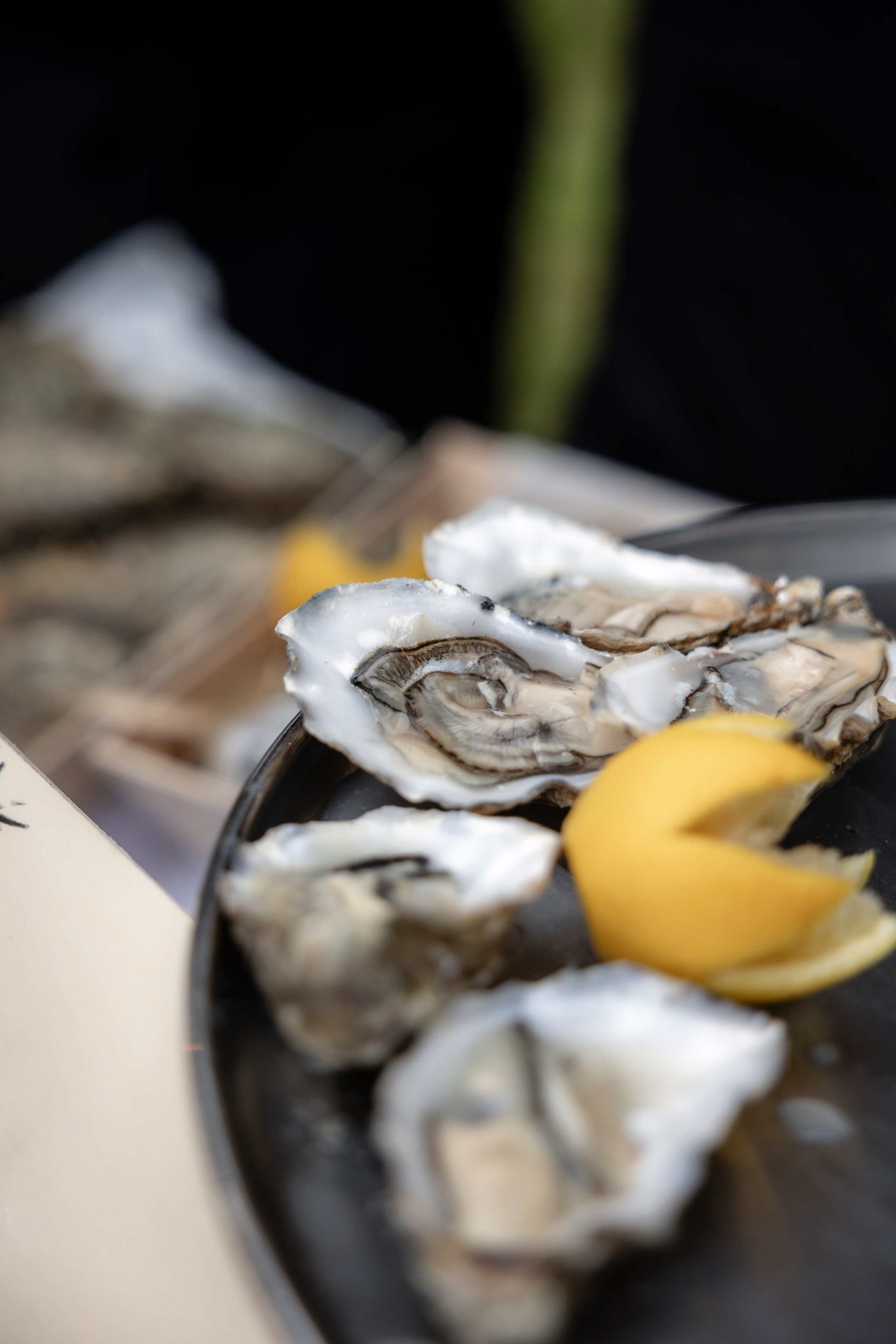 Liliana & Michel — an intimate musical wedding at Château La Commanderie, Plaigne. Евгения Смирнова — фотограф в Тулузе и юго-западной Франции