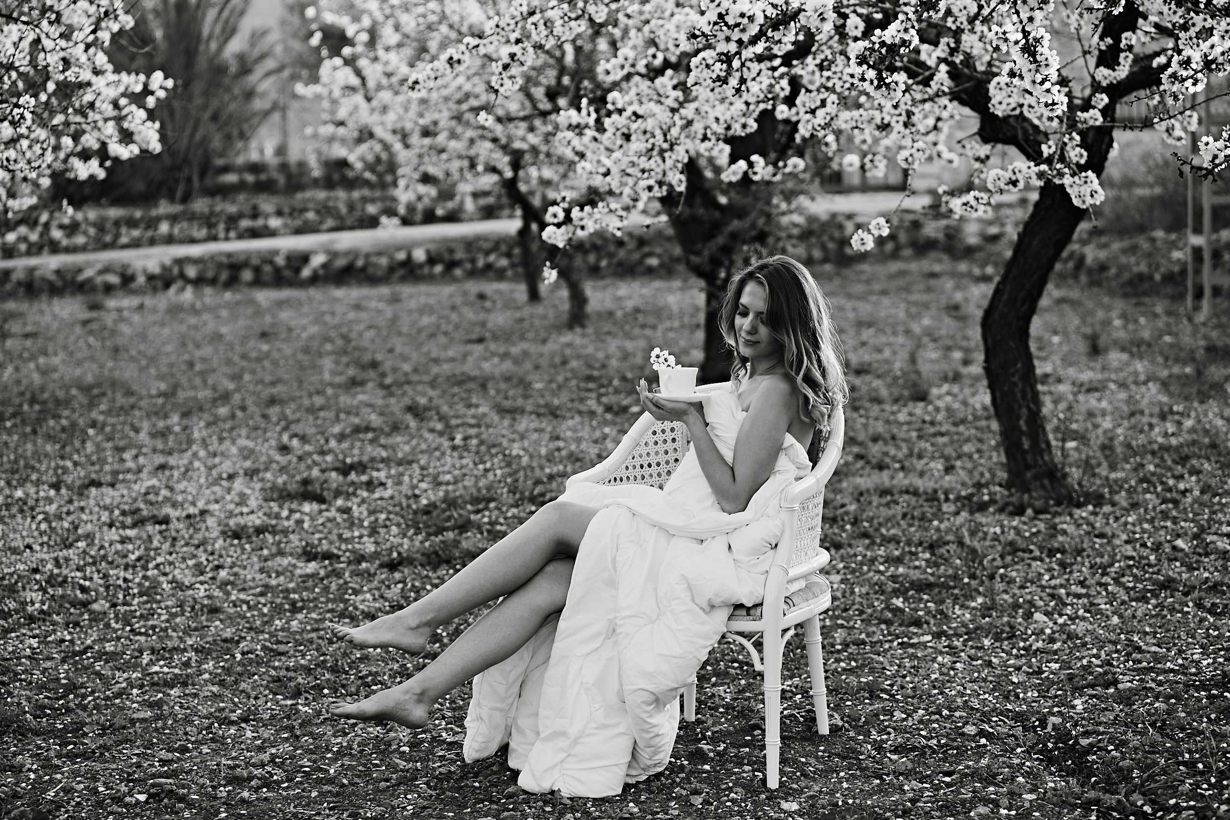 Съемка в миндале. ГЛАВНАЯ