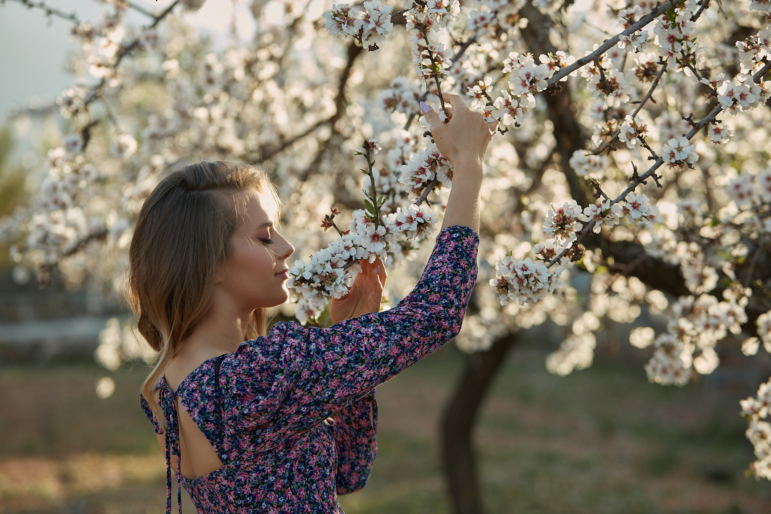 Съемка в миндале. ГЛАВНАЯ