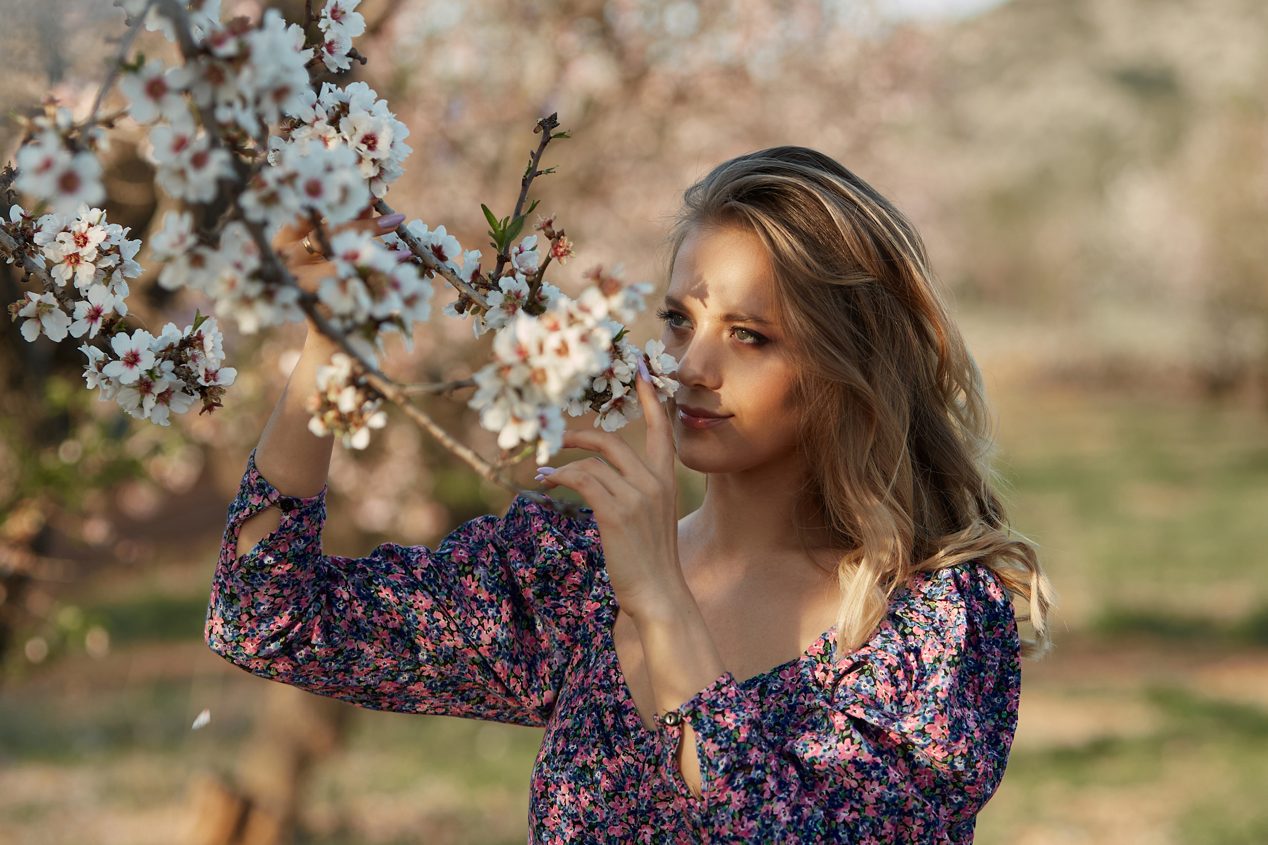 Съемка в миндале. ГЛАВНАЯ