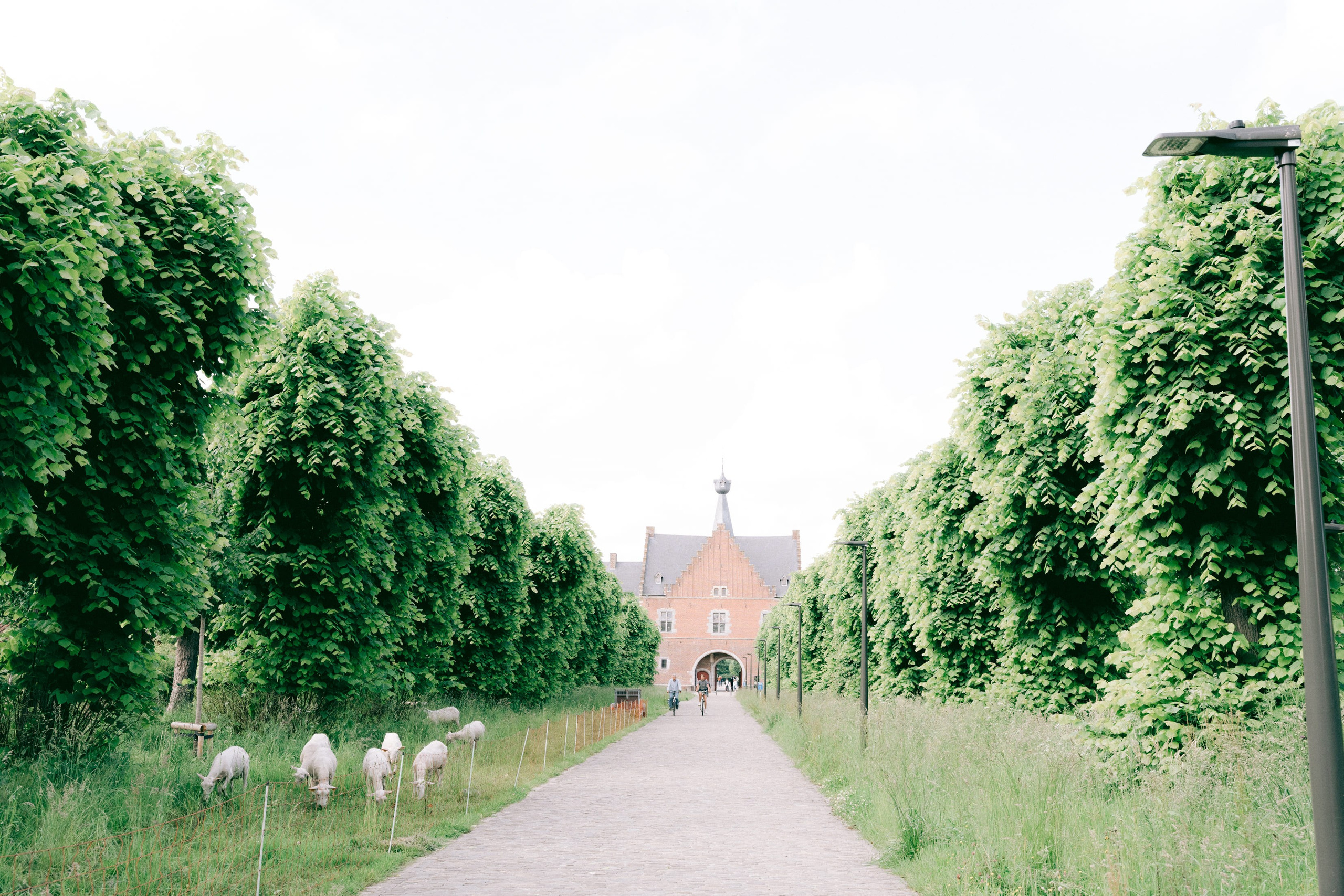 Wedding Tessa & Jasper Hasselt. Little Birdie – Jouw familie- en huwelijksfotograaf in België en daarbuiten