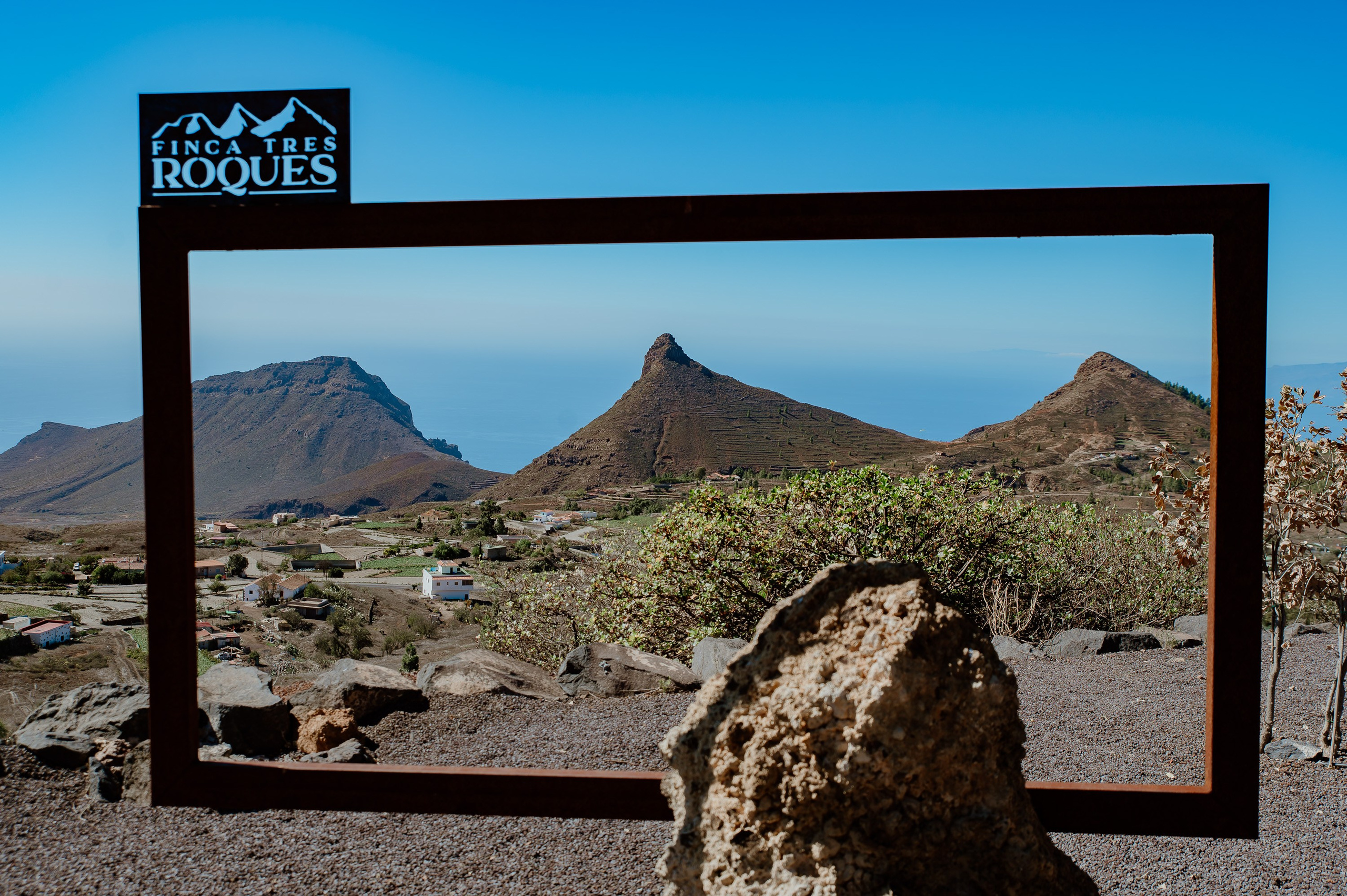 Tenerife. Bojana Žuža fotograf u Beogradu 📷 Belgrade photographer