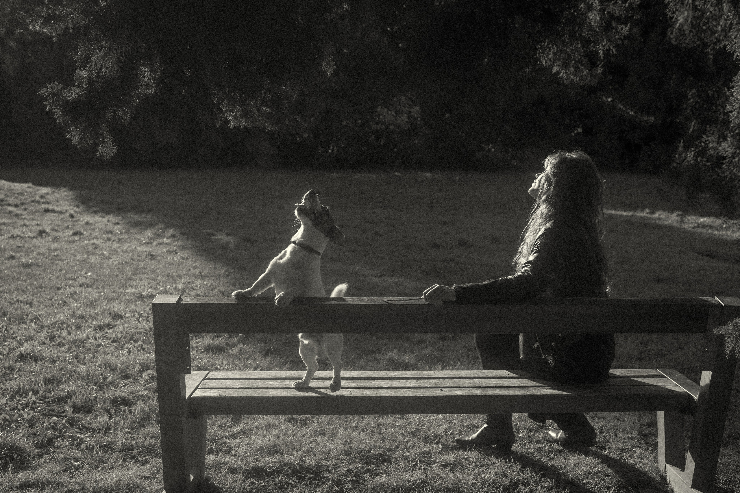Sunrise. Histoires d’amour, séances photos de famille et de mariage en France