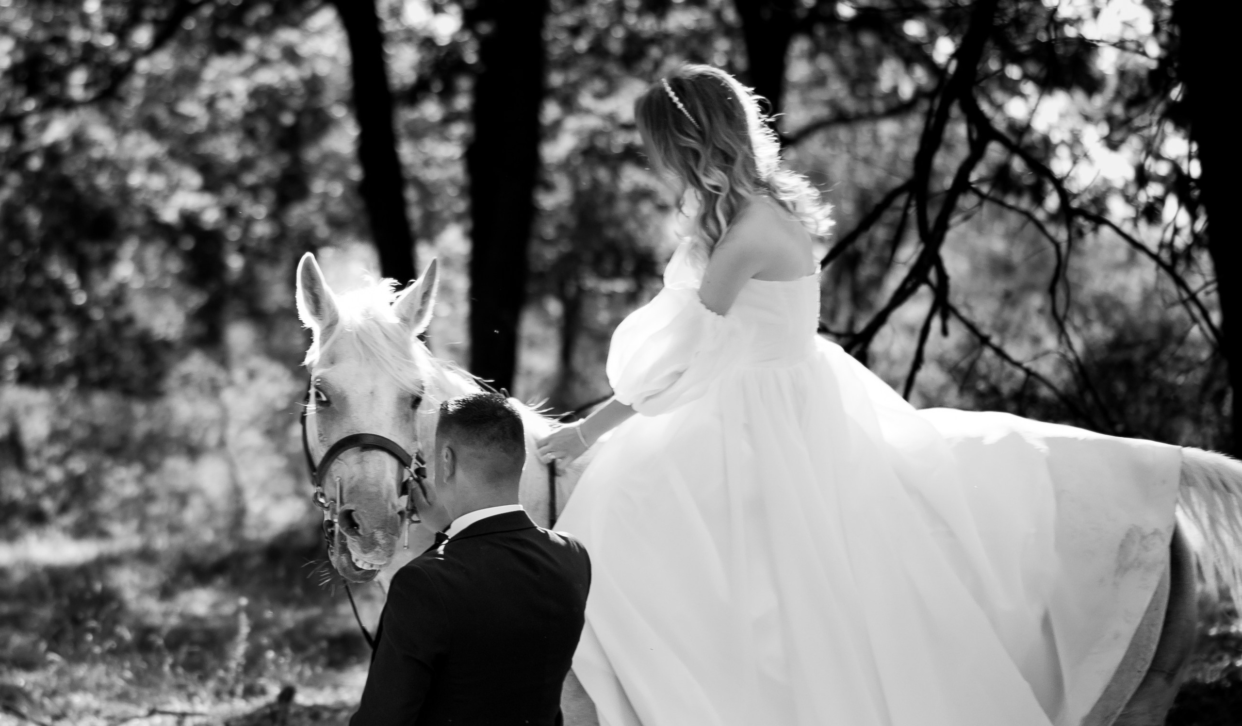 Fotografii de la sedinte foto Trash the Dress. Codux — Fotograf Tulcea | Fotograf Evenimente