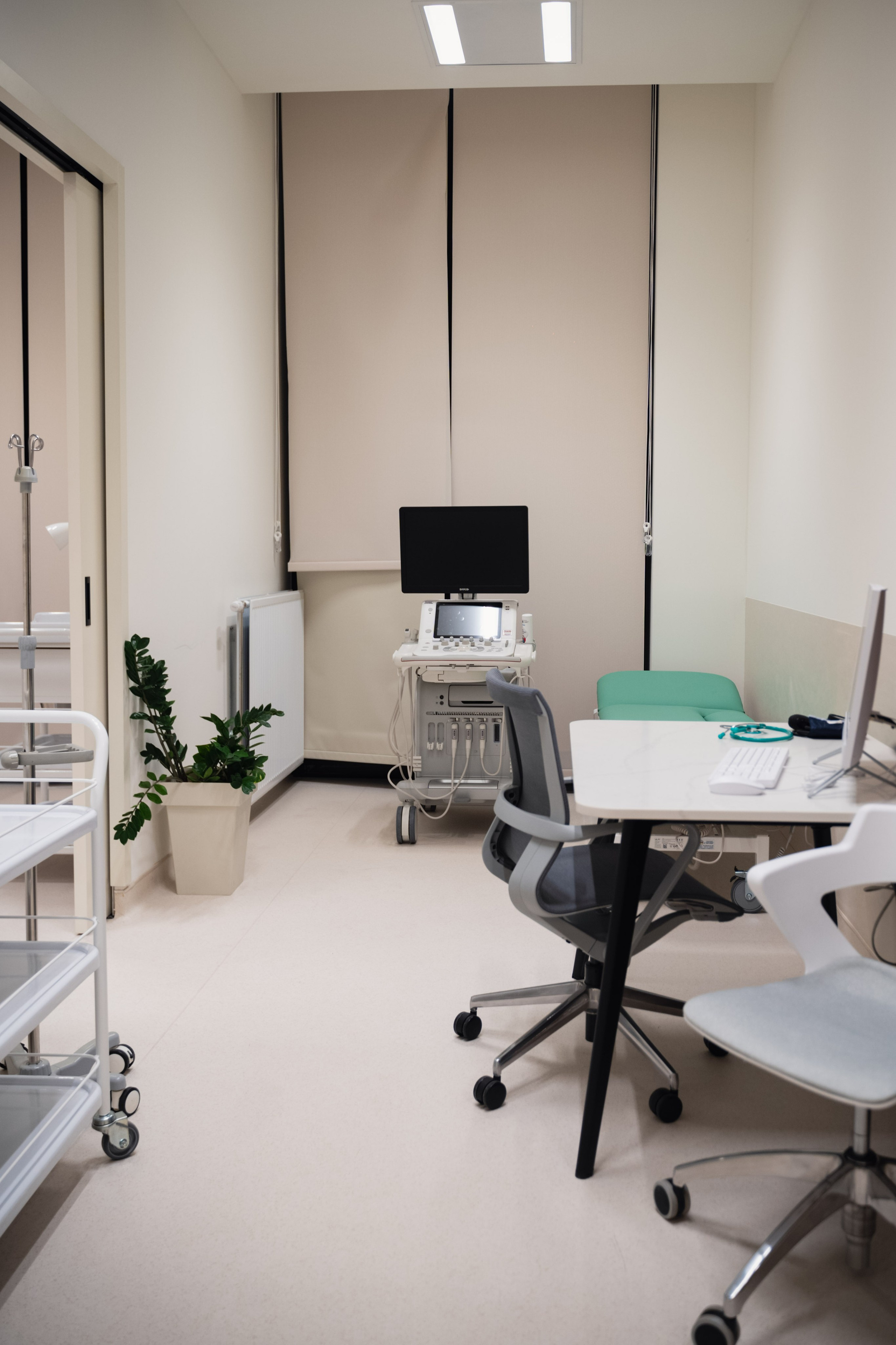 Regena. Жуков Студио