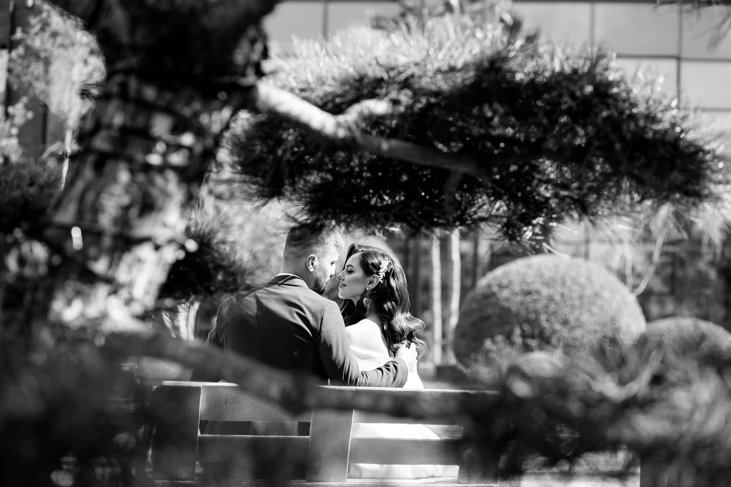 Nunta. Servicii Foto/Video