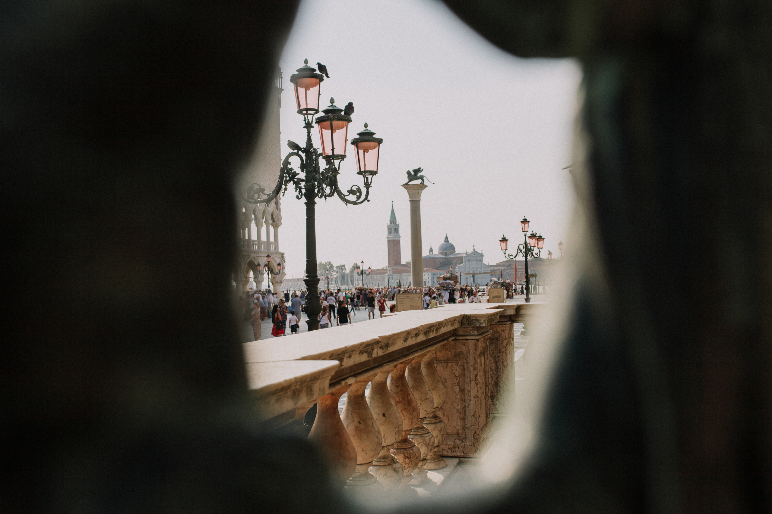 A&L elopement. Wedding and portrait photographer in Poland Vitali Frozen