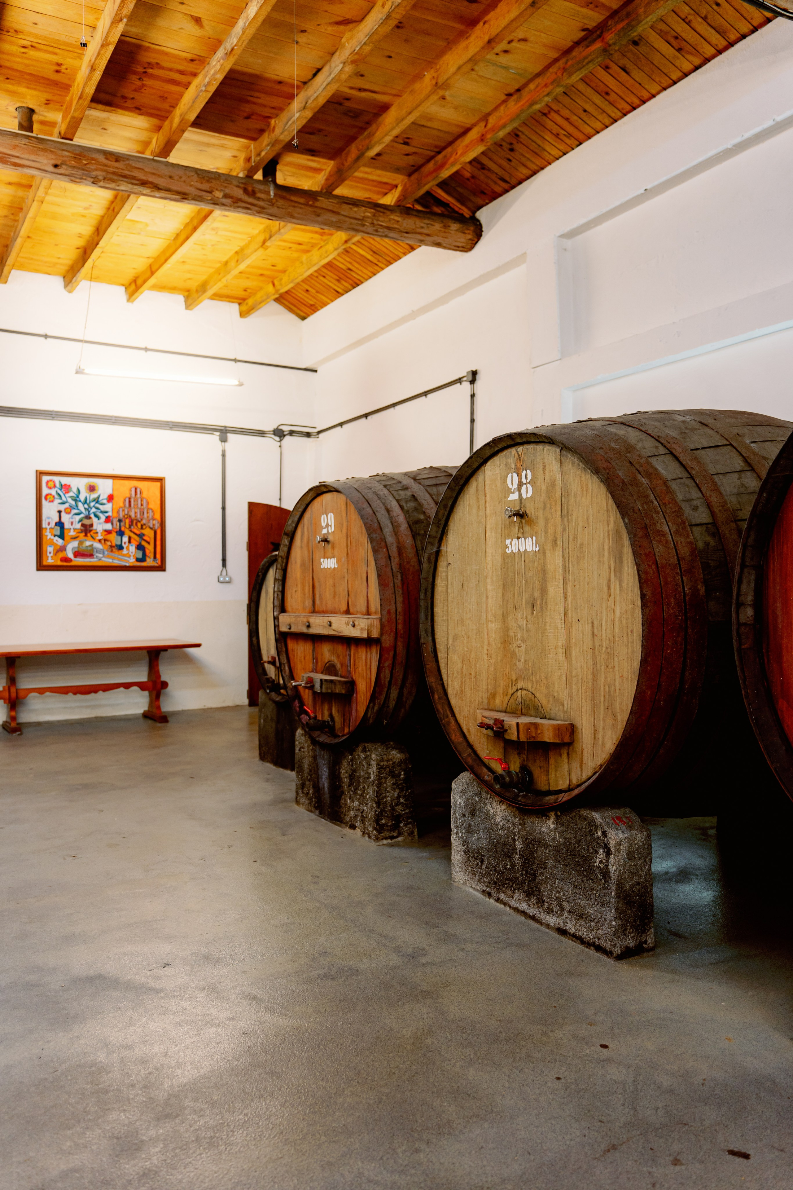 Бусаку — скрытая жемчужина Байррады