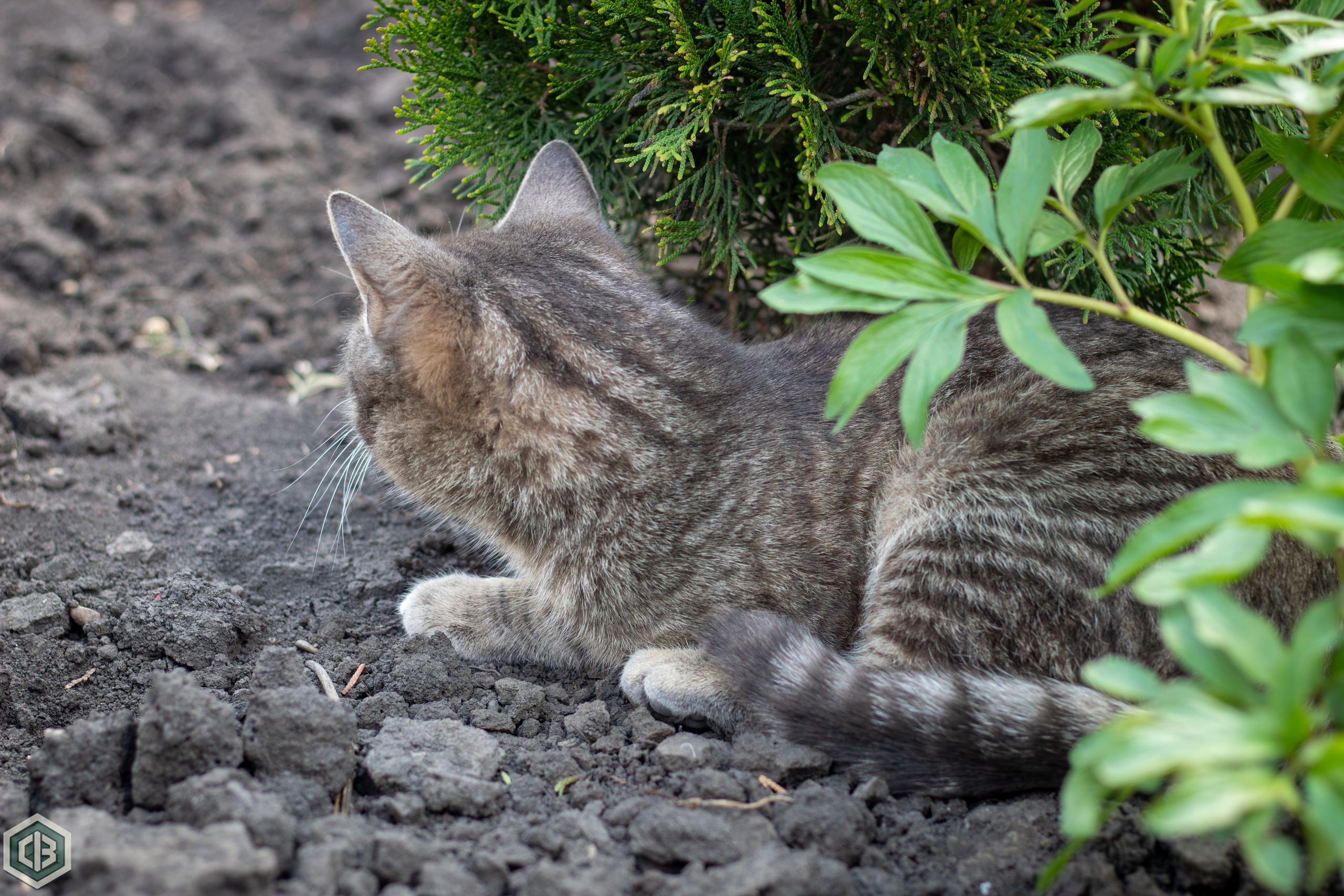 Trip to Mileanca. Cristian Baltag | Photography | Capturing Moments in Iasi